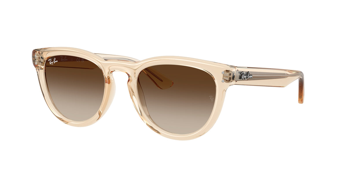 Ray - Ban RB2237 690213