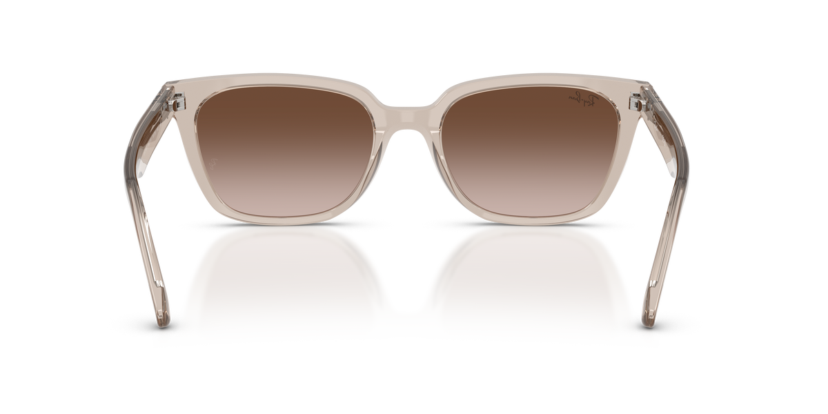 Ray - Ban RB2243D 682713