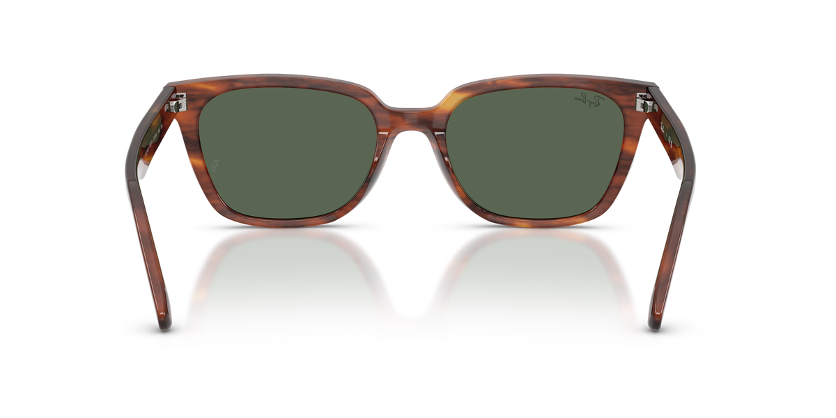 Ray - Ban RB2243D 954/71
