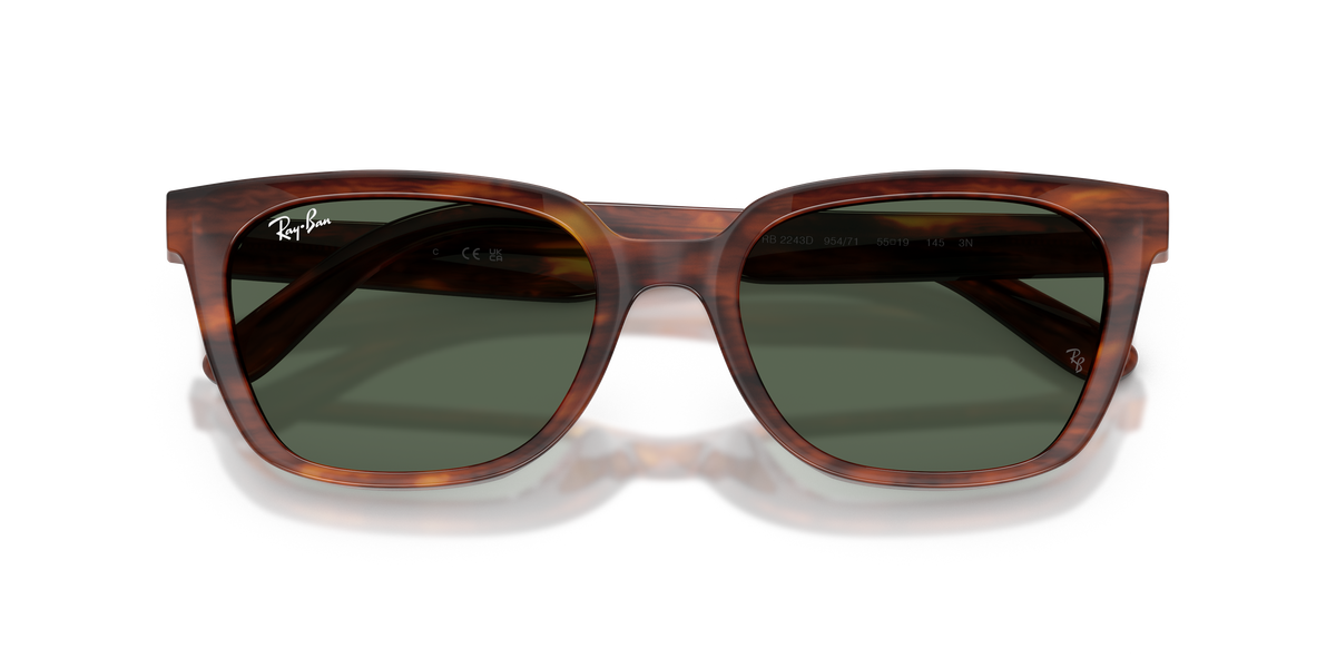 Ray - Ban RB2243D 954/71