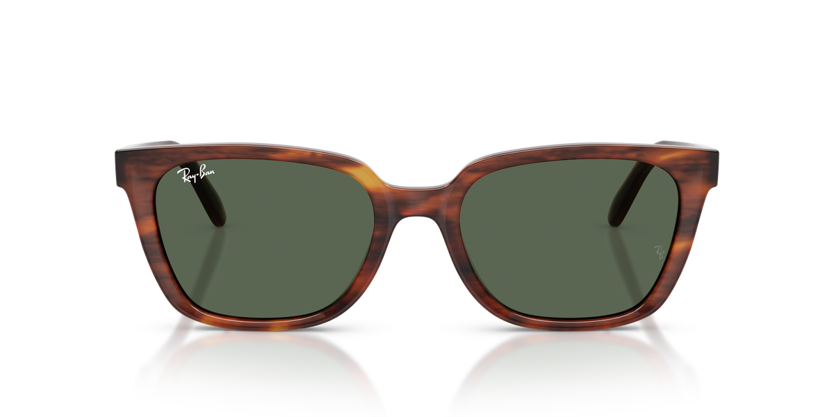 Ray - Ban RB2243D 954/71