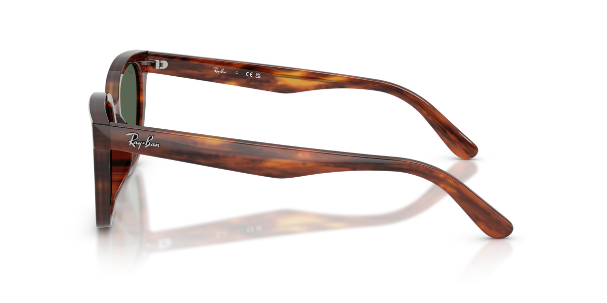 Ray - Ban RB2243D 954/71
