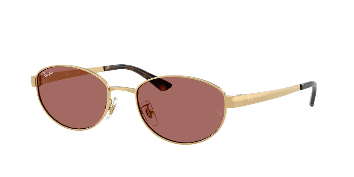 Ray - Ban RB3774D 001/69
