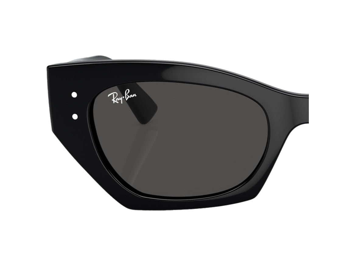 Coppia di Lenti di ricambio Ray-Ban RB4430 Zena Lenti di ricambio Ray - Ban Grigio scuro 000039944016 2