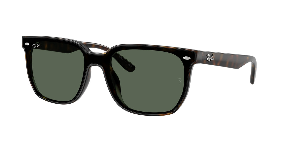 Ray - Ban RB4466D 710/71
