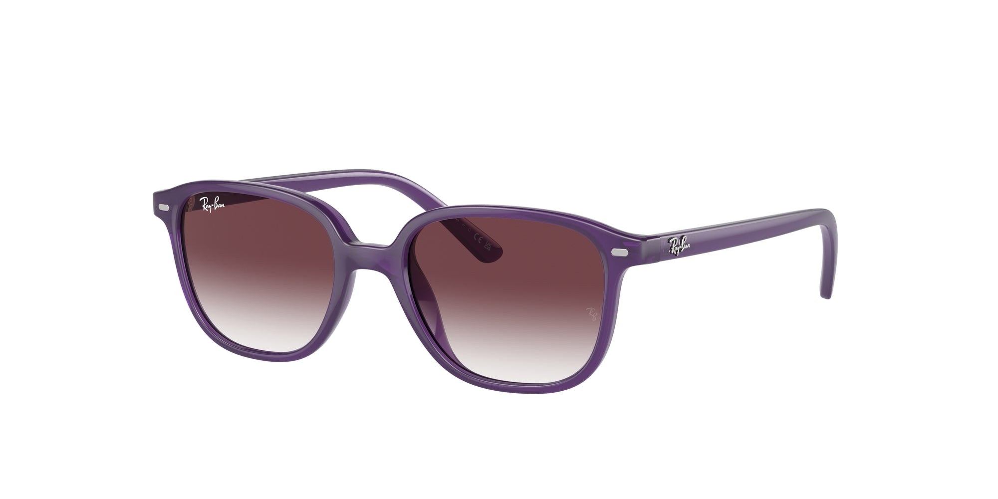 RJ9093S JUNIOR LEONARD 713136 Occhiali da sole Ray - Ban 1