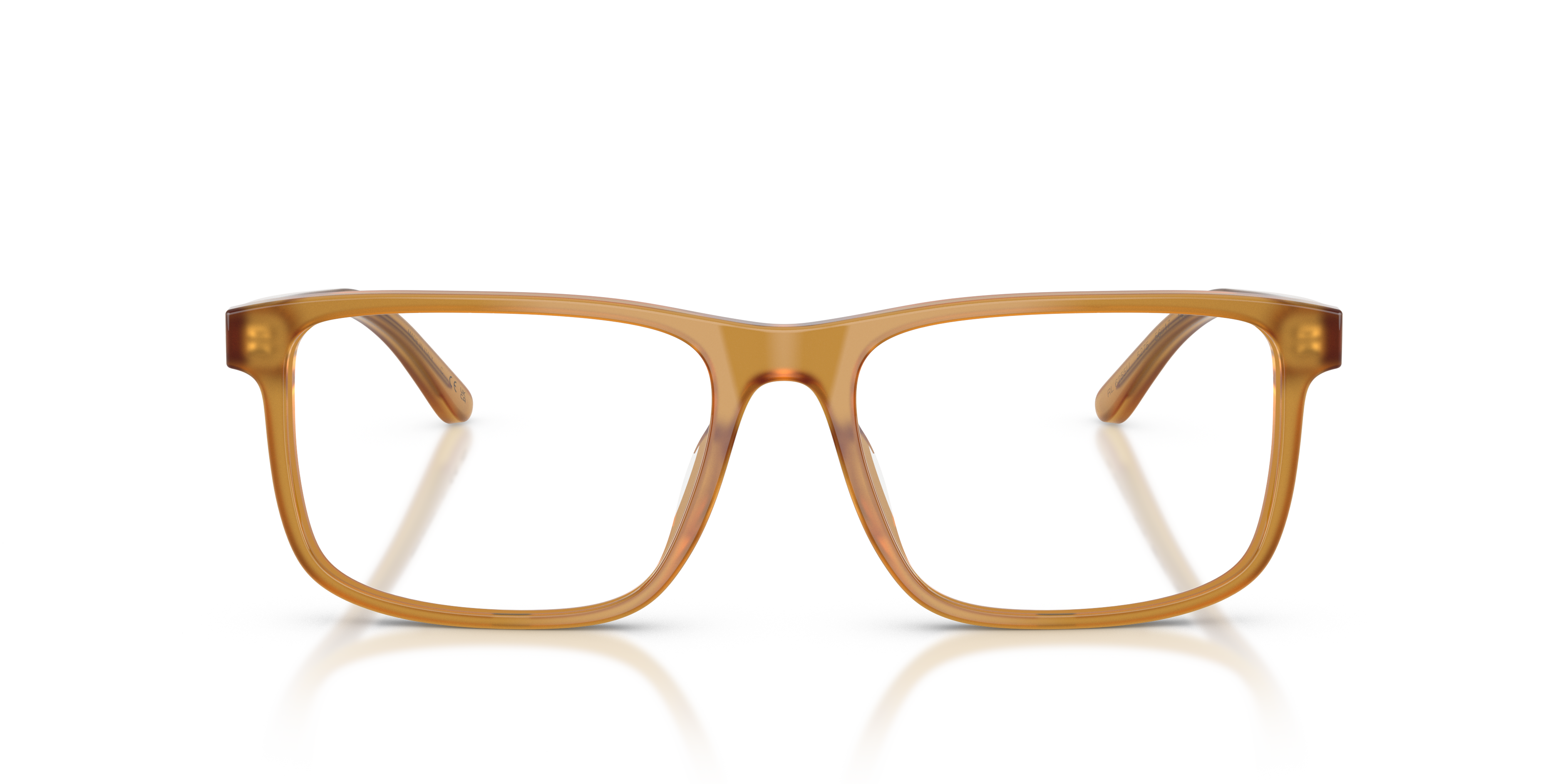 Ralph Lauren RL6225U 5275