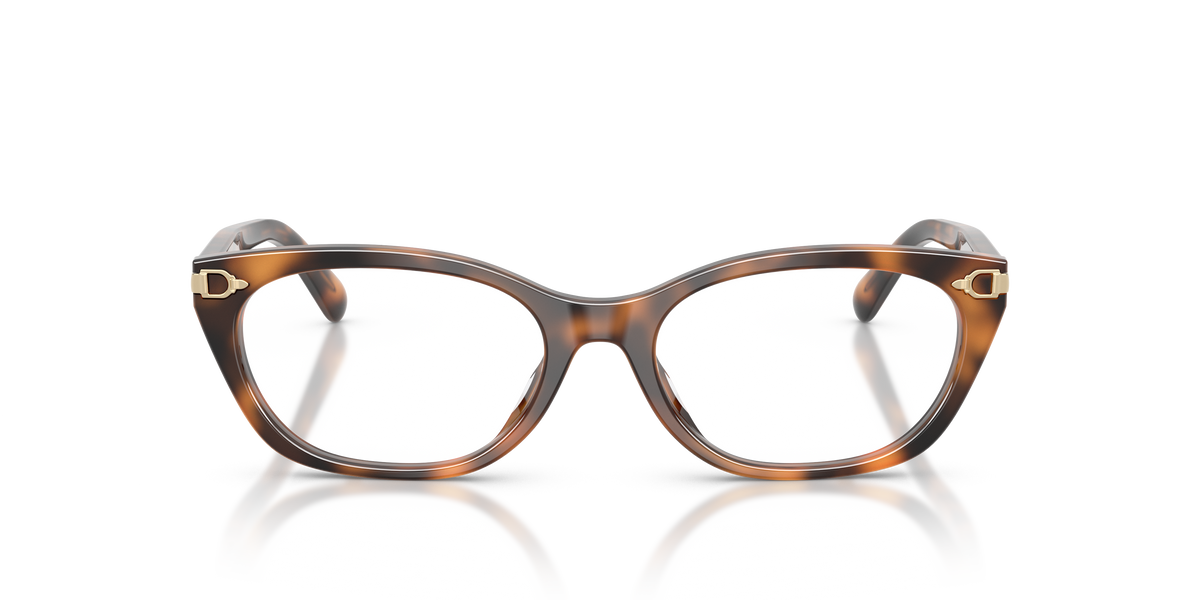 Ralph Lauren RL6268U 6089