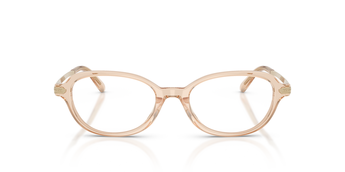Ralph Lauren RL6269U 6062