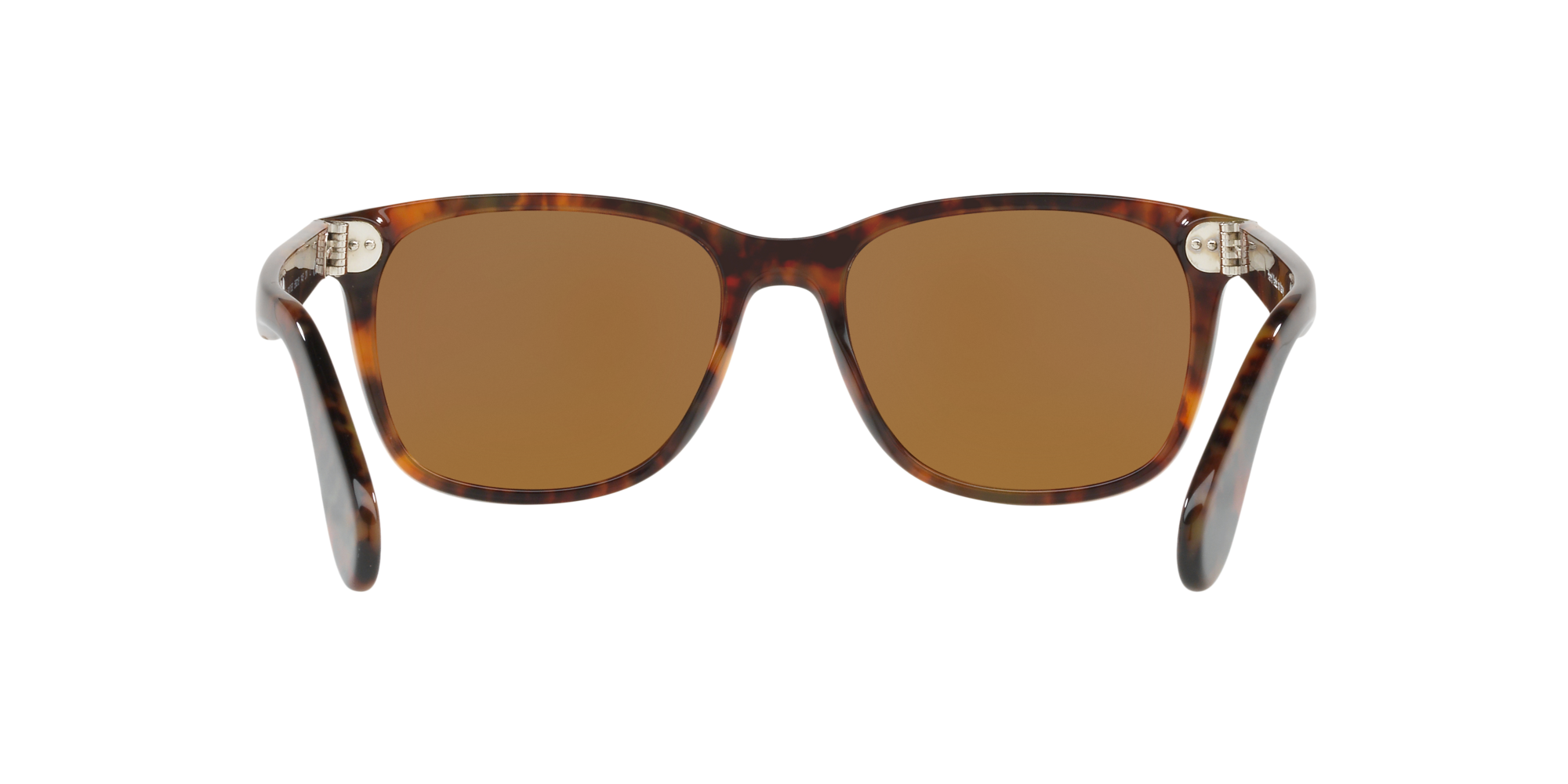 RL8162P 501753 Occhiali da sole Ralph Lauren 5