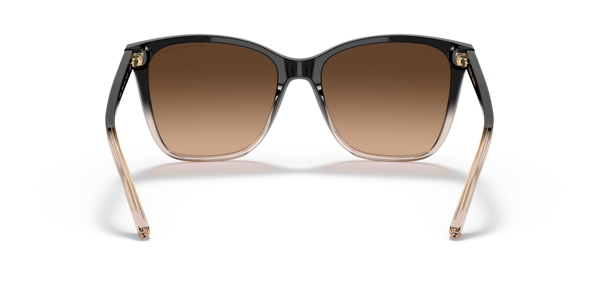 RL8201 602274 Occhiali da sole Ralph Lauren 5