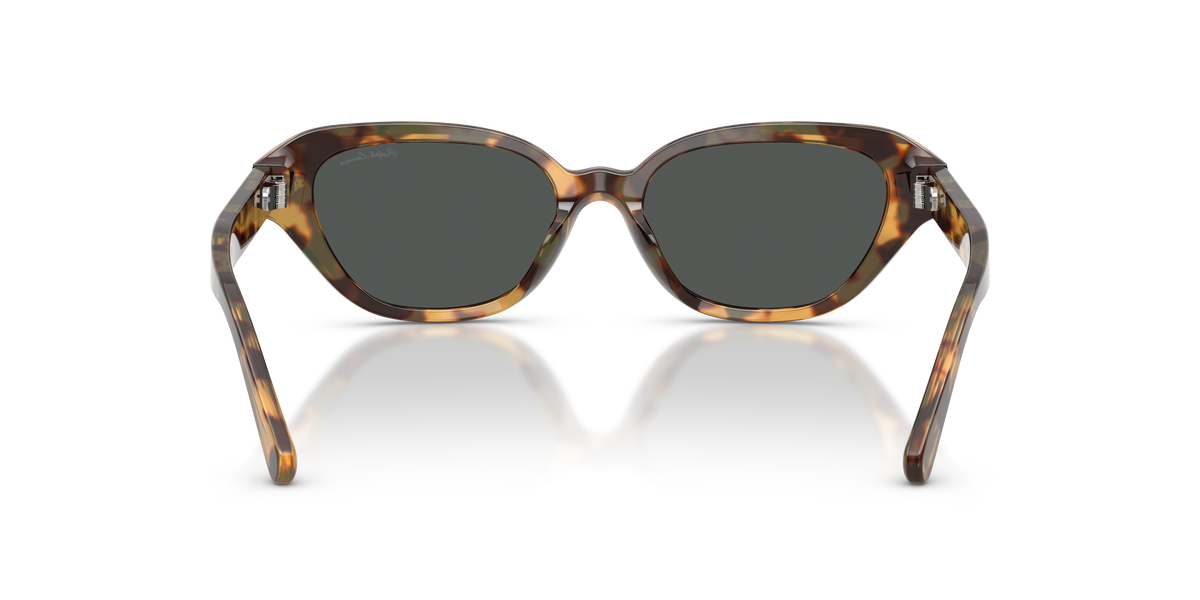 Ralph Lauren RL8244U 617887