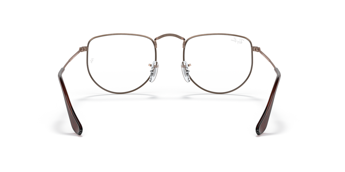 Ray - Ban RX3958V ELON 3120