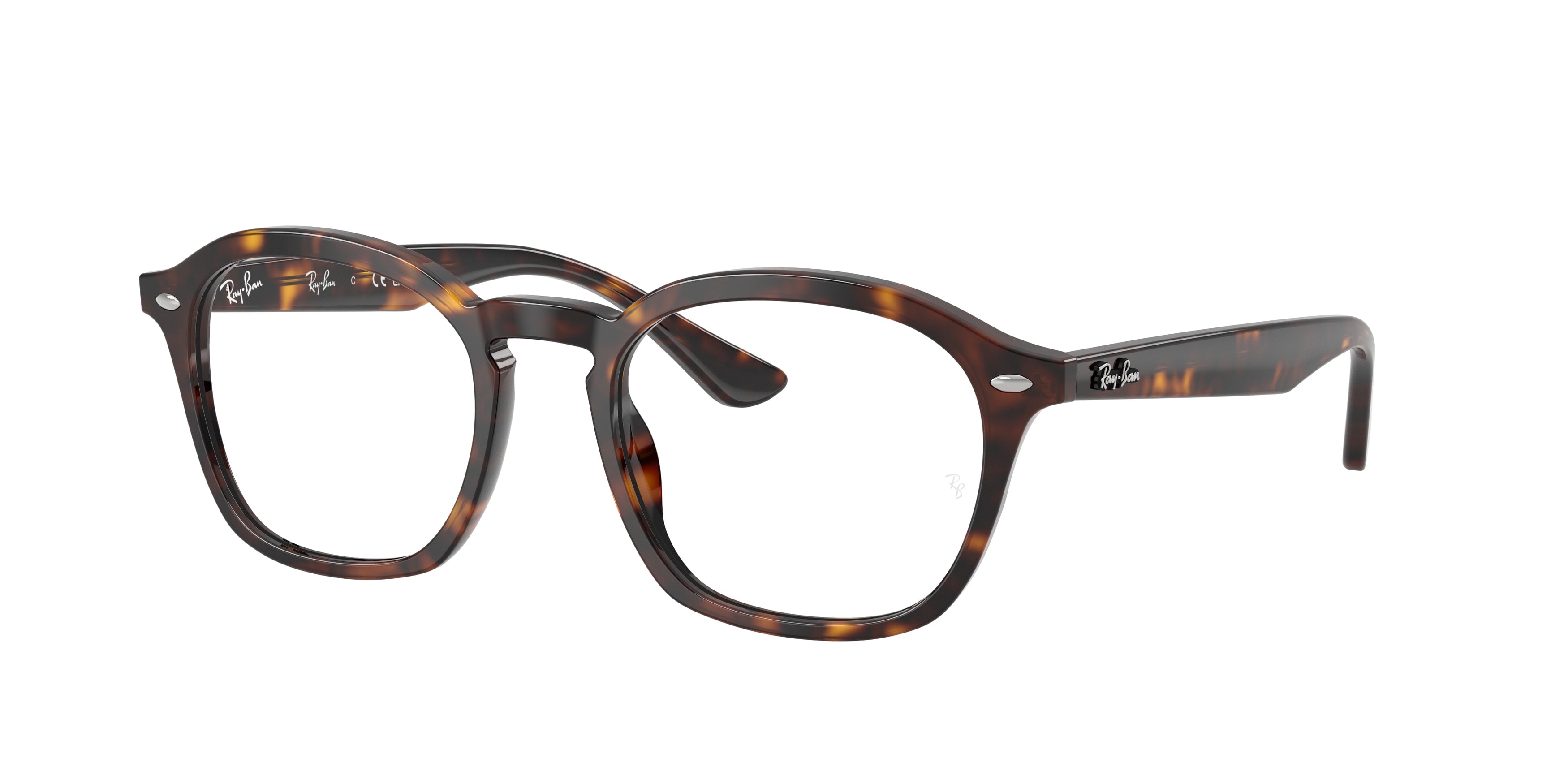 Ray - Ban RX5451 2012