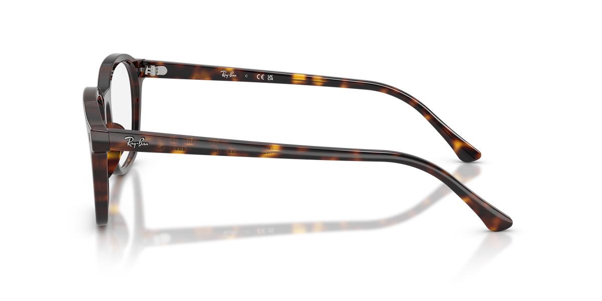 Ray - Ban RX5460 2012