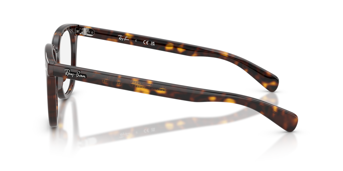 Ray - Ban RX5535 BRUNEL II 2012