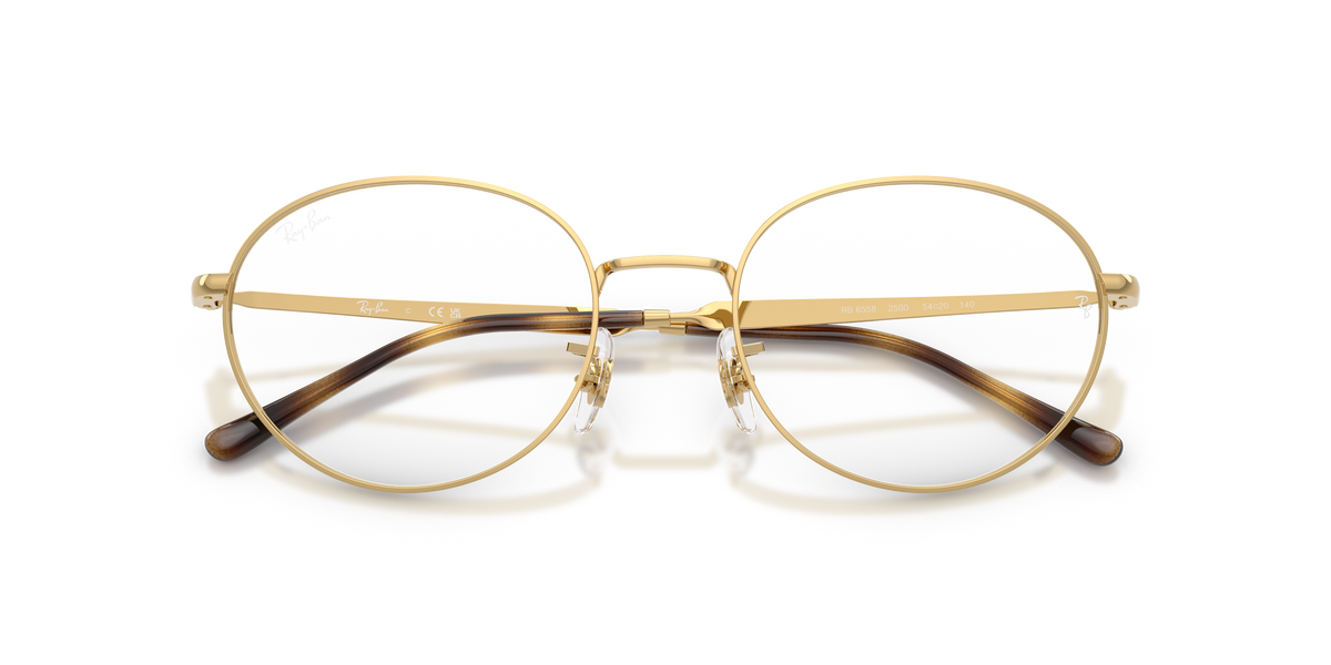 Ray - Ban RX6558 2500