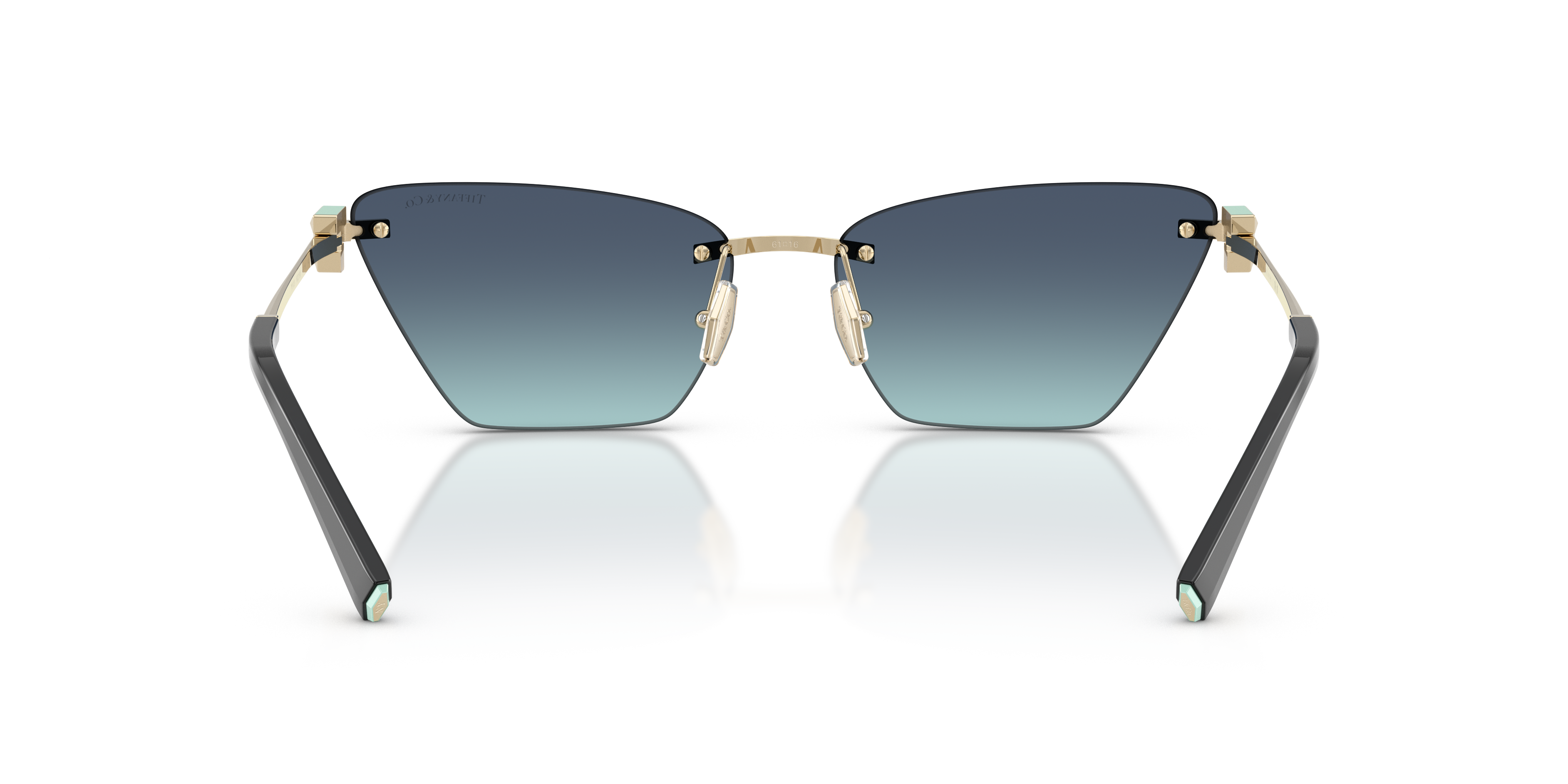 Tiffany TF3120 60219S Occhiali da sole Tiffany 5