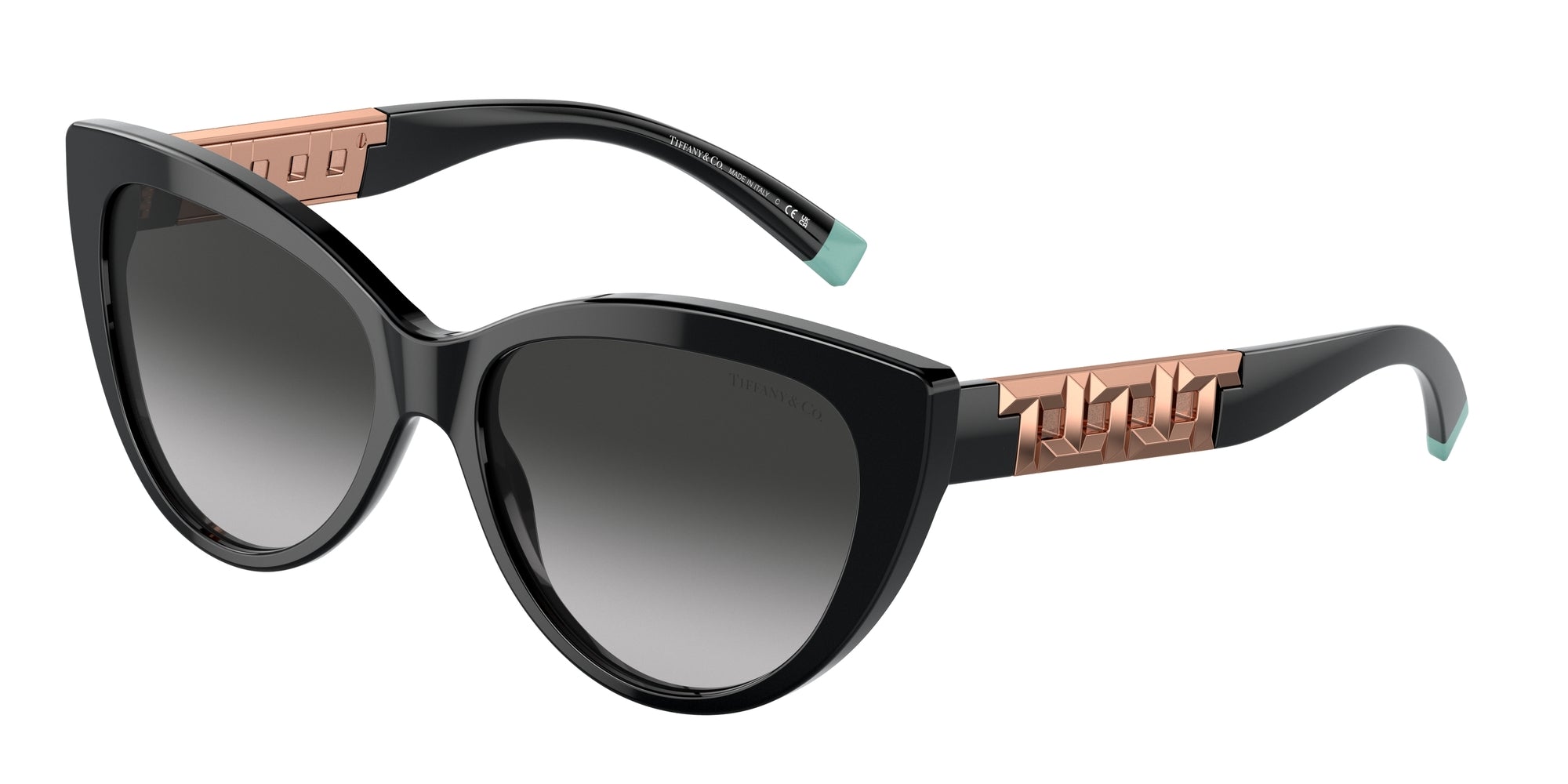 TF4196 80013C Occhiali da sole Tiffany 1