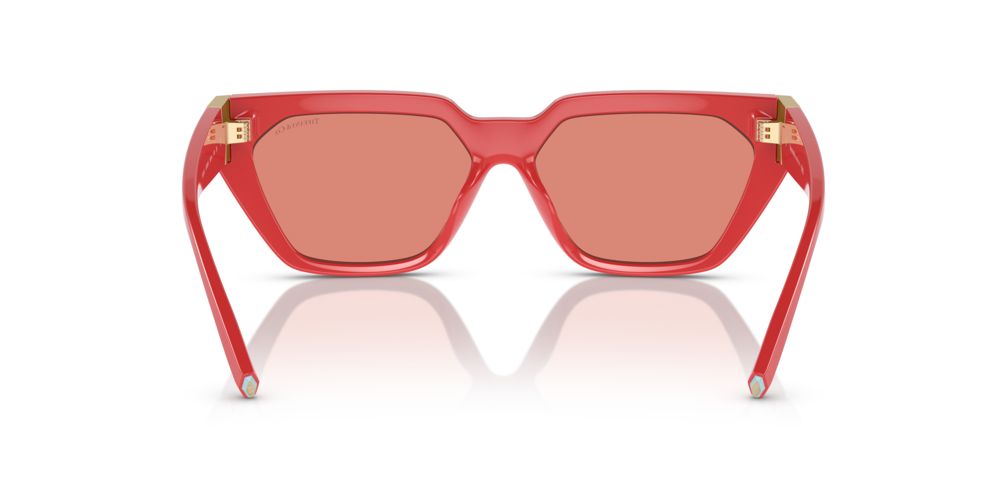 TF4205U 837084 Occhiali da sole Tiffany 5