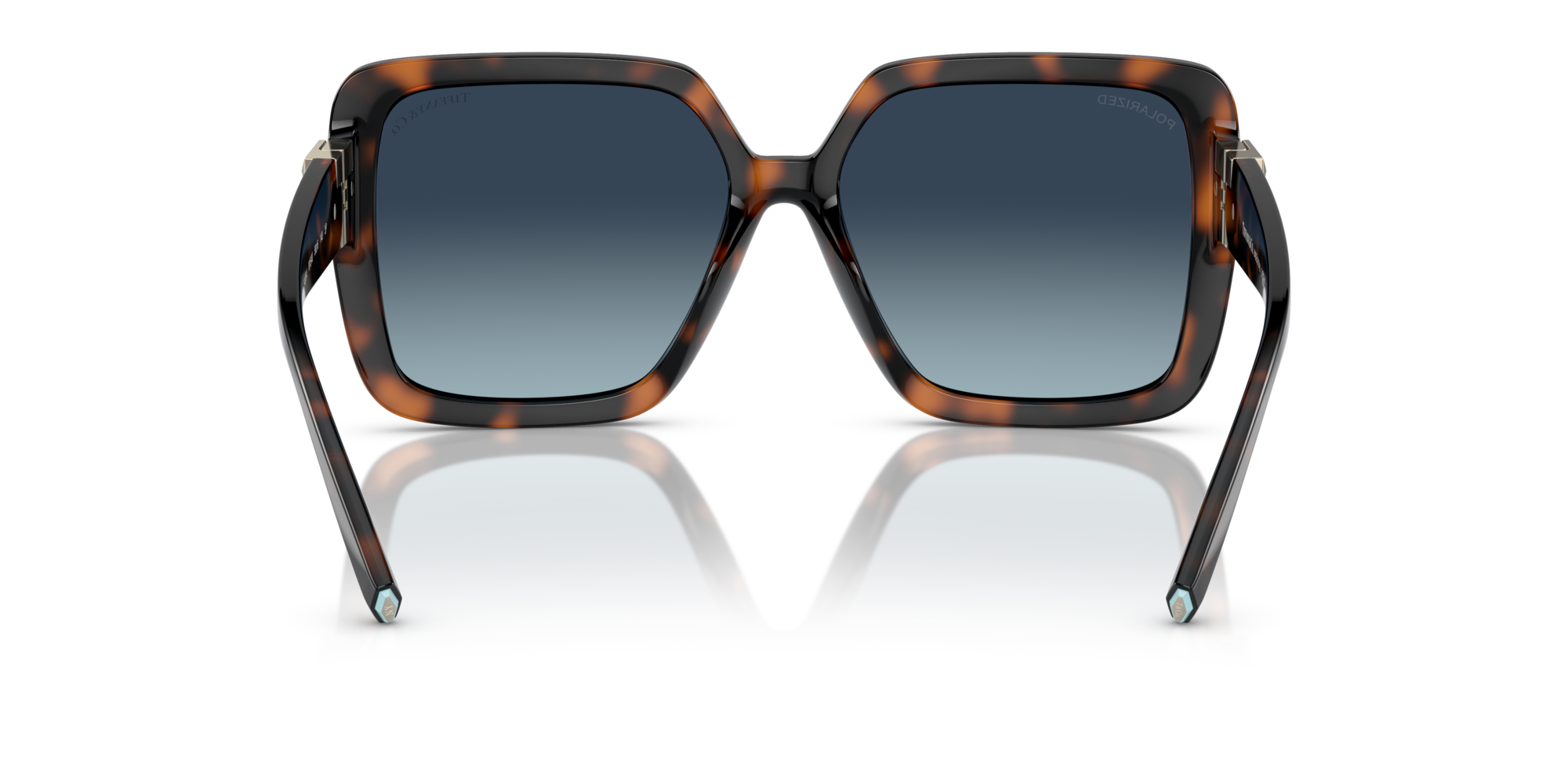 TF4206U 80154U Occhiali da sole Tiffany 5