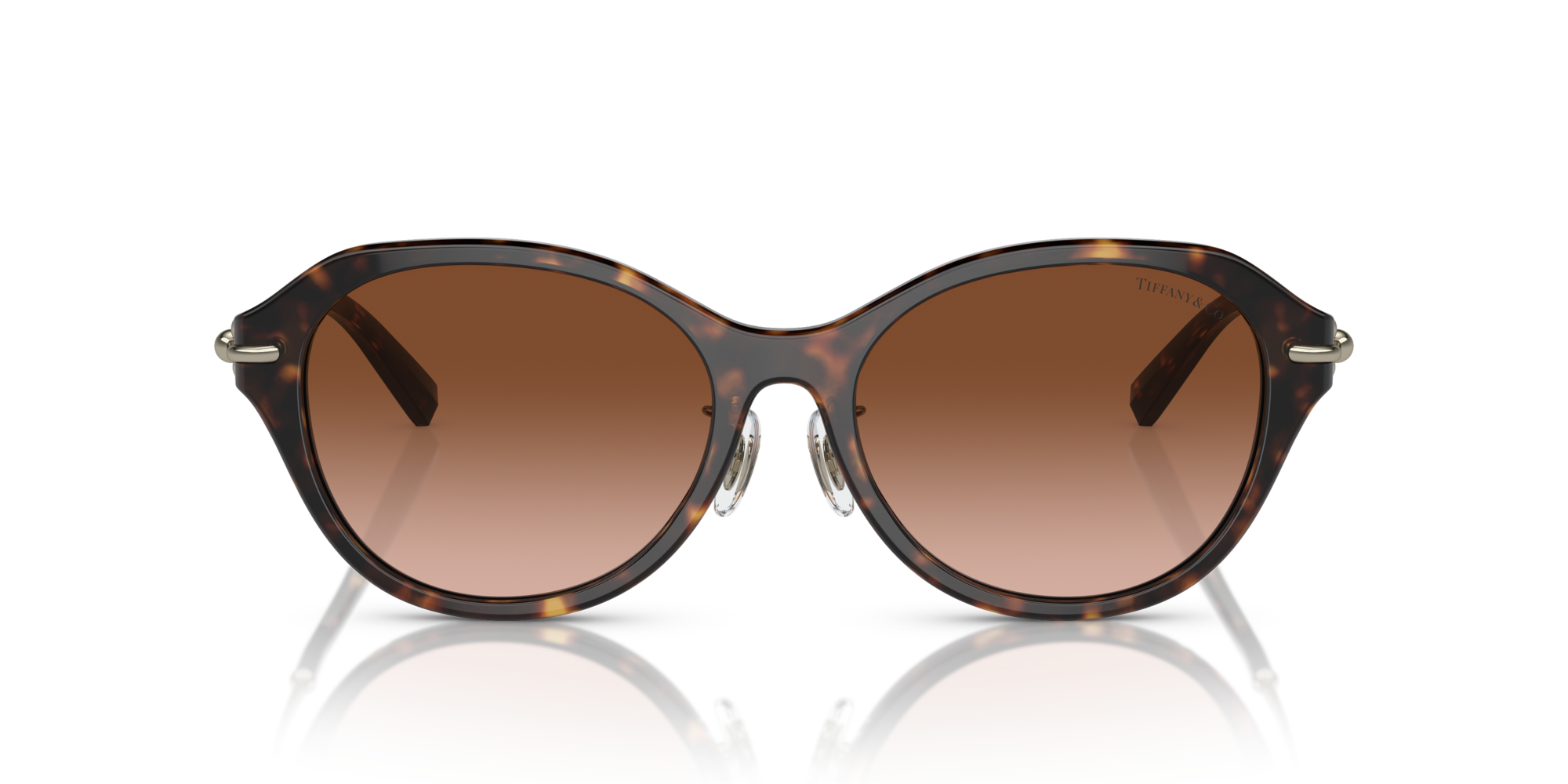 TF4210D 80153B Occhiali da sole Tiffany 3