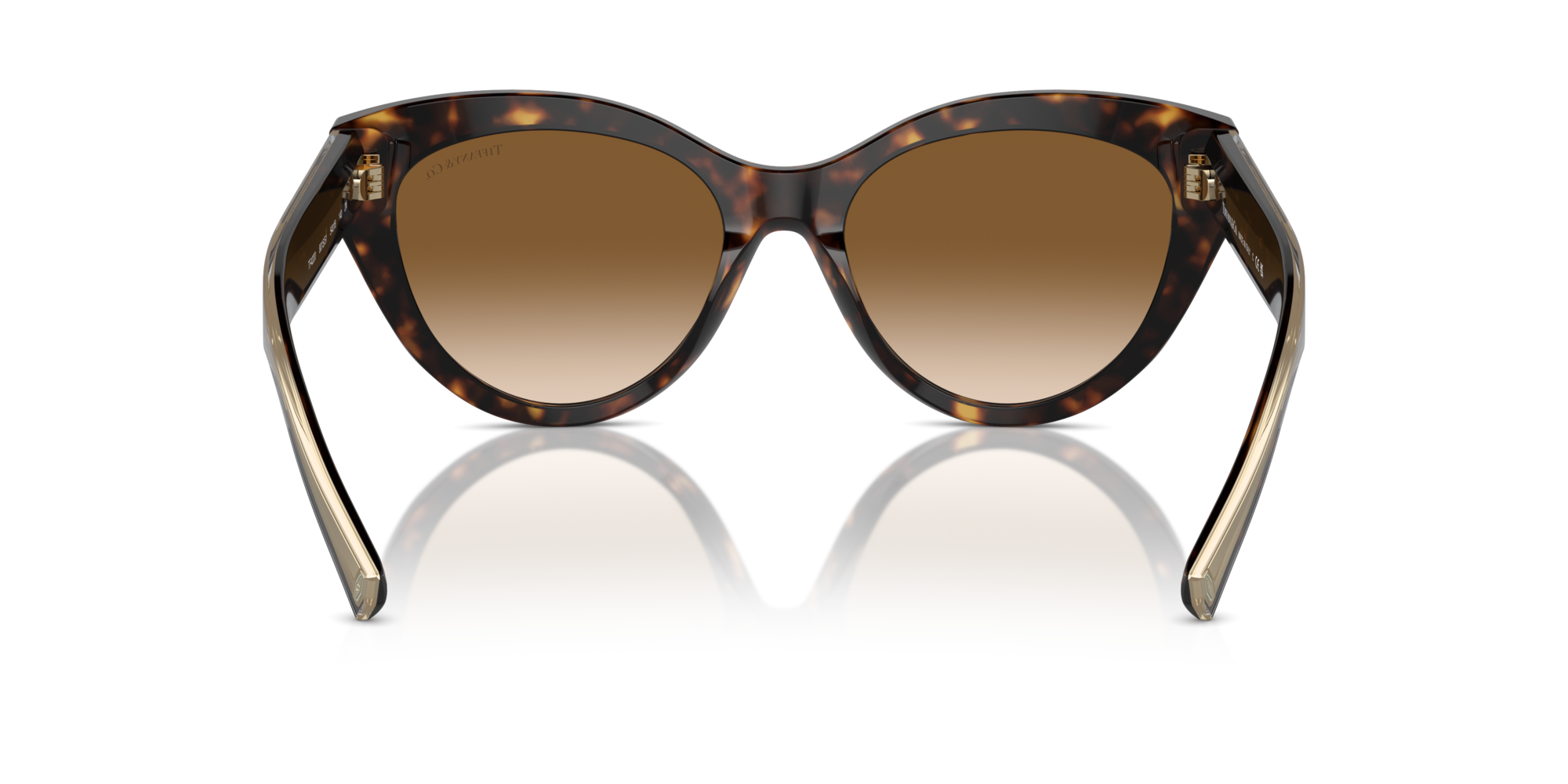 TF4220 801551 Occhiali da sole Tiffany 5