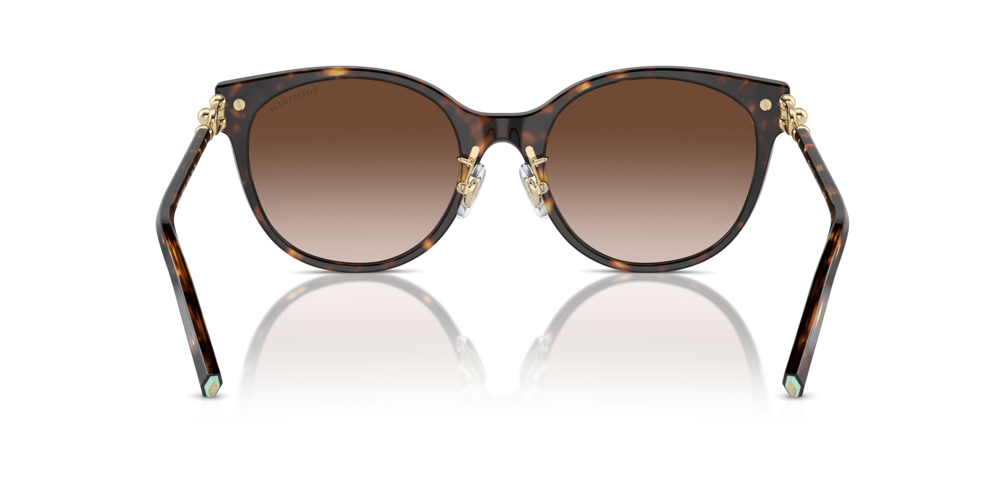 TF4223D 80153B Occhiali da sole Tiffany 5