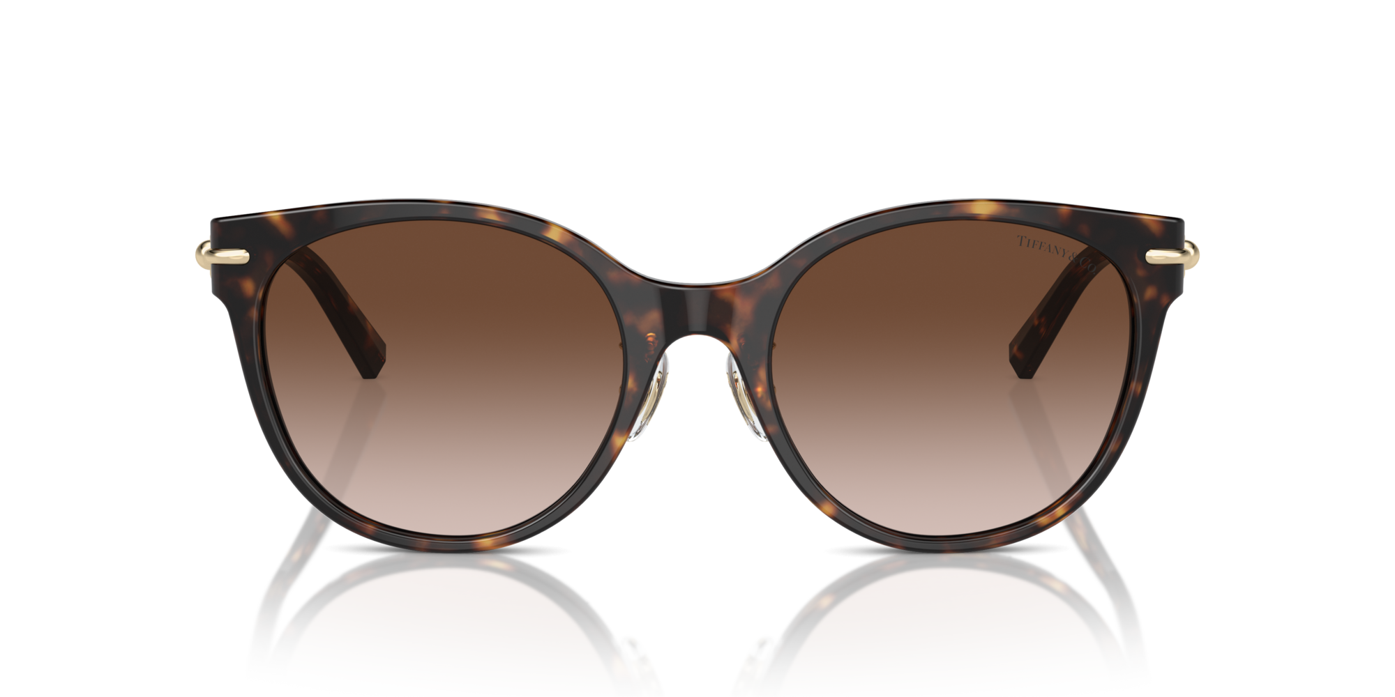 TF4223D 80153B Occhiali da sole Tiffany 3