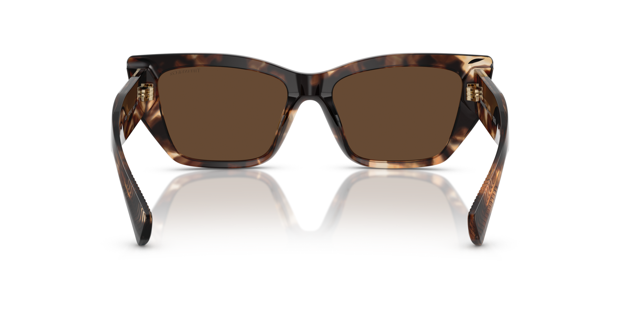 TF4230 84213G Occhiali da sole Tiffany 5