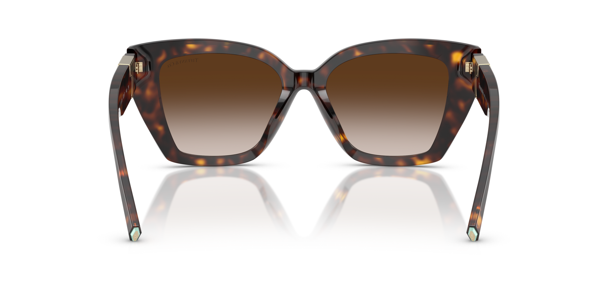 TF4239U 80153B Occhiali da sole Tiffany 5