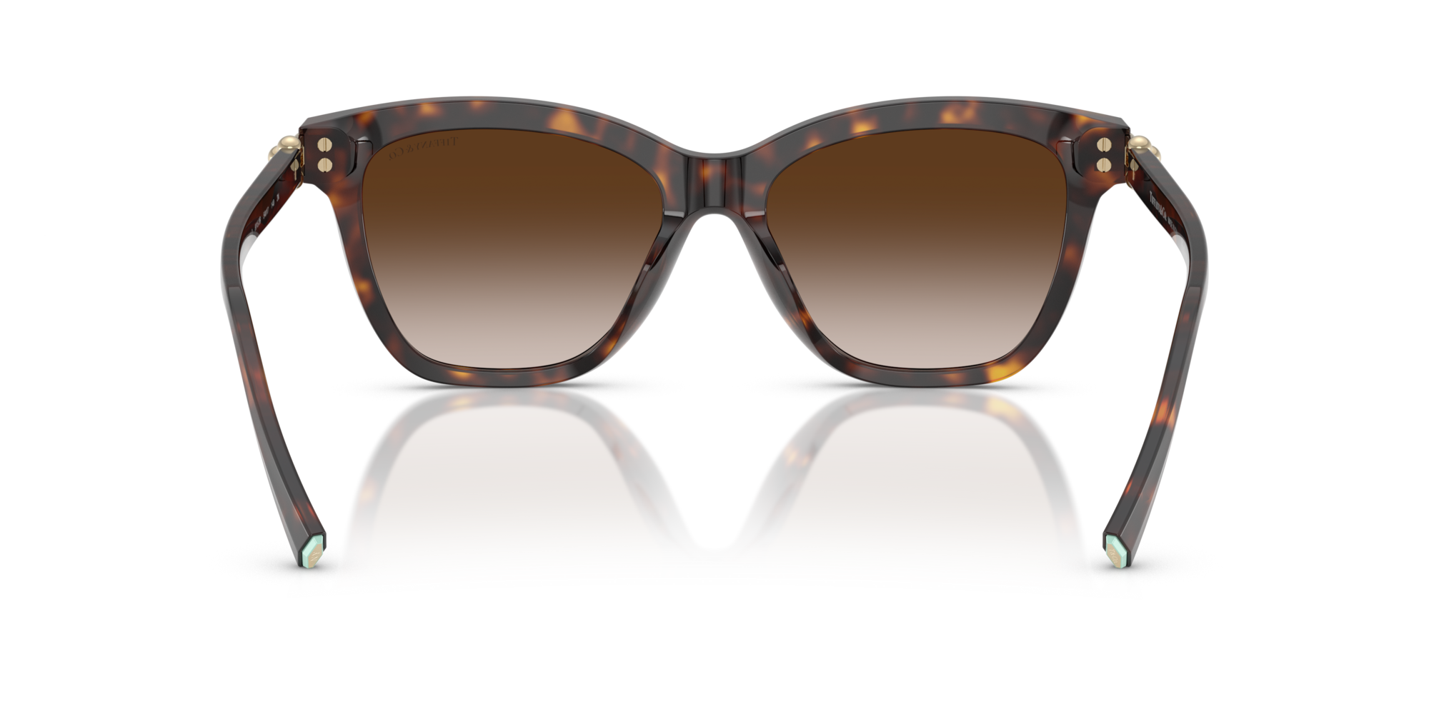 TF4241D 80153B Occhiali da sole Tiffany 5