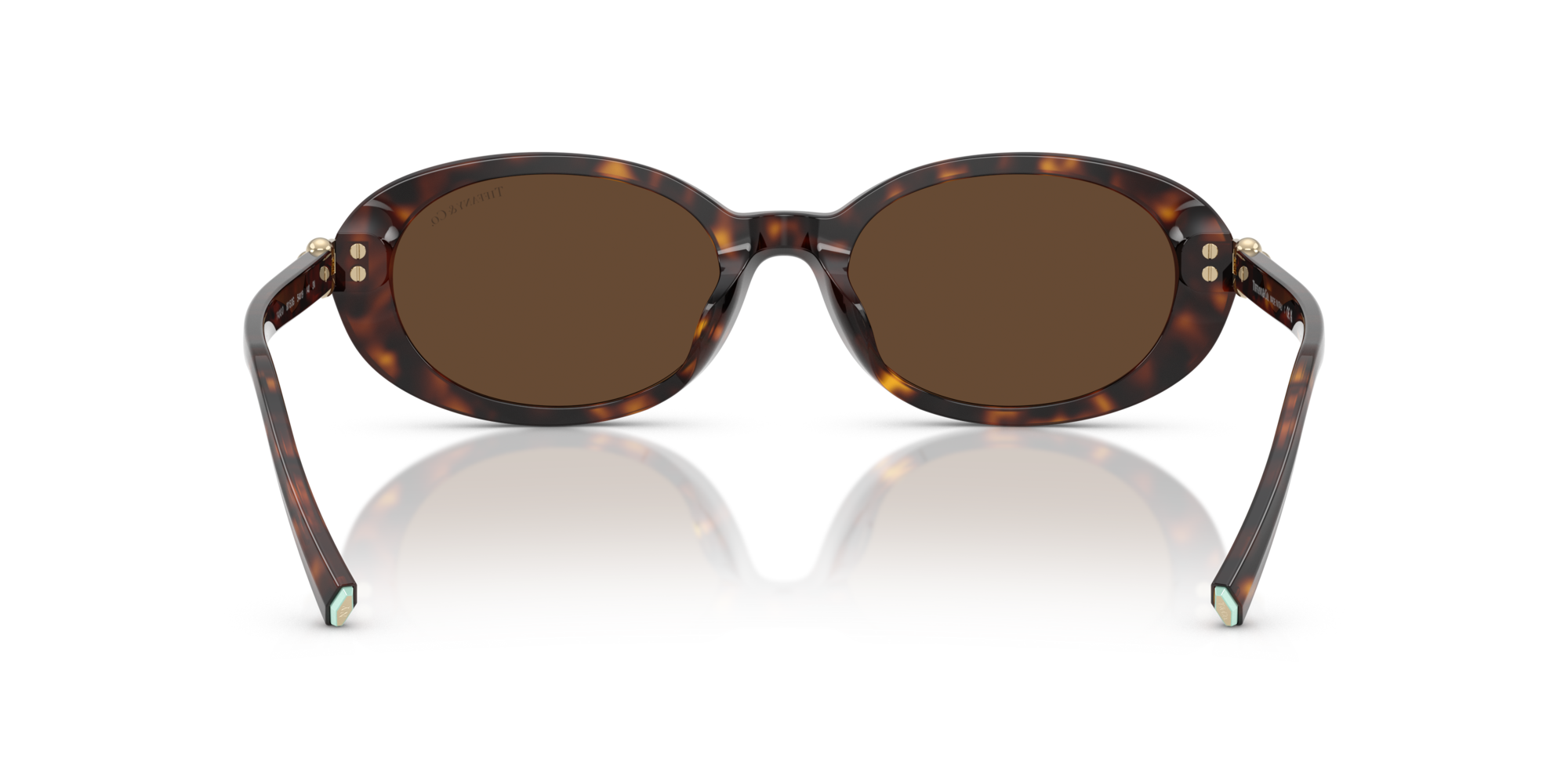 TF4242D 80153G Occhiali da sole Tiffany 5