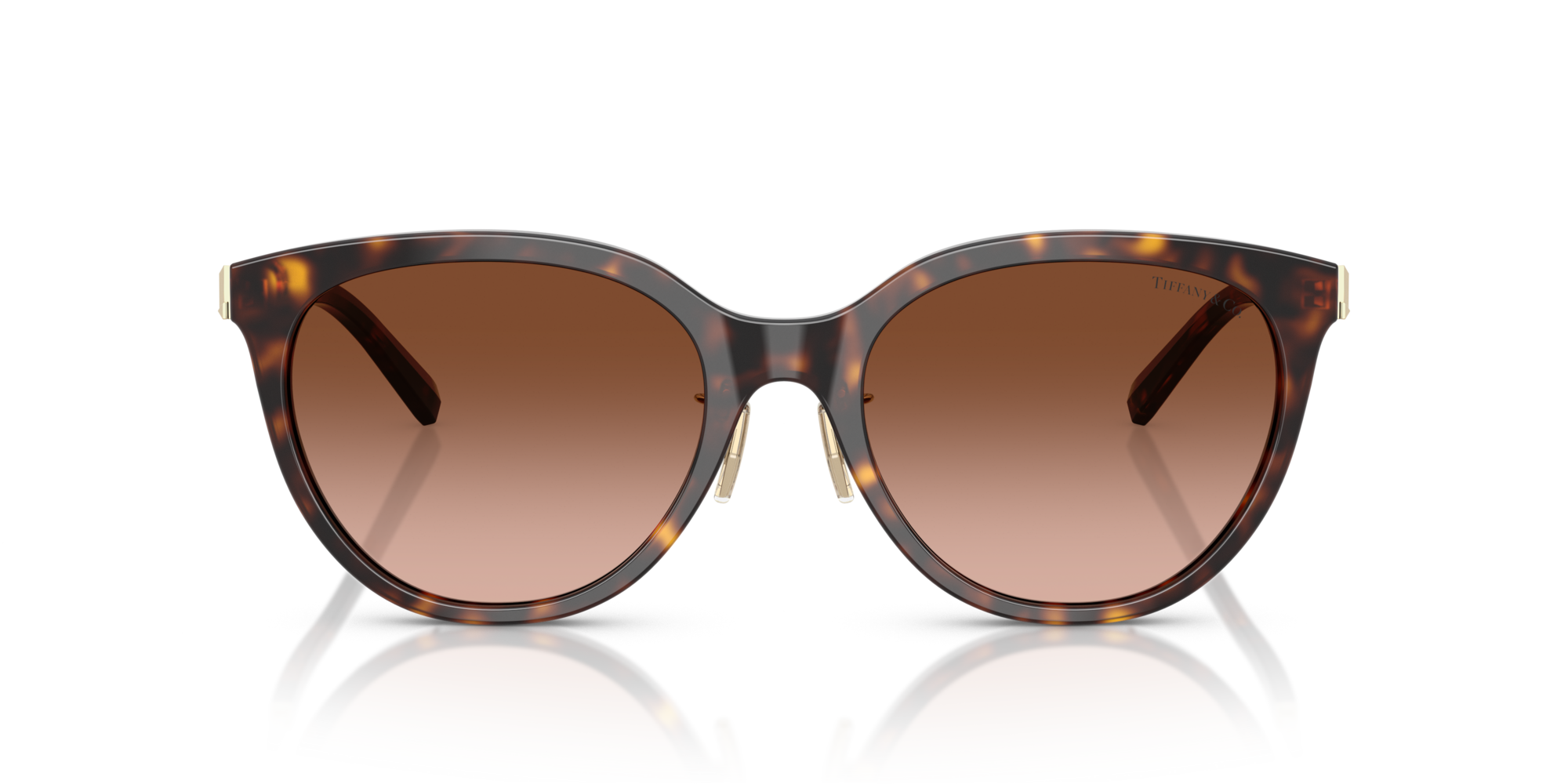TF4243D 80153B Occhiali da sole Tiffany 3