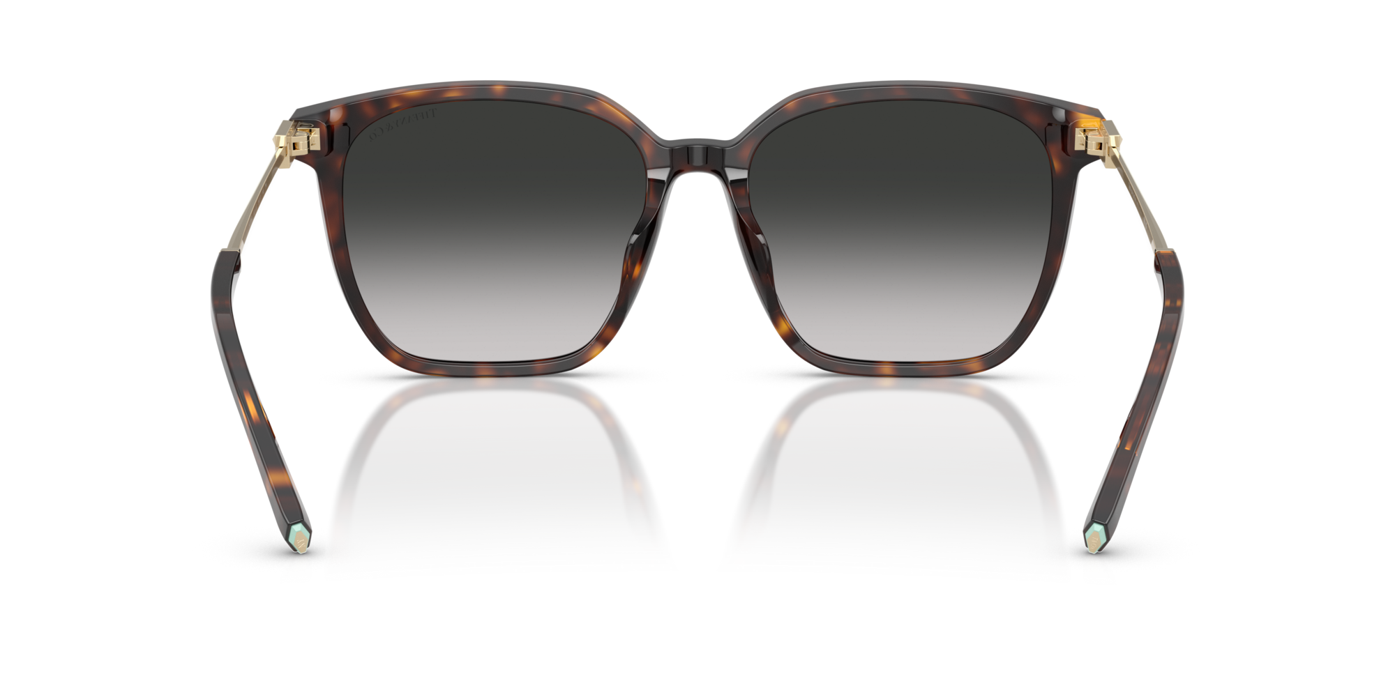 TF4244D 80153C Occhiali da sole Tiffany 5