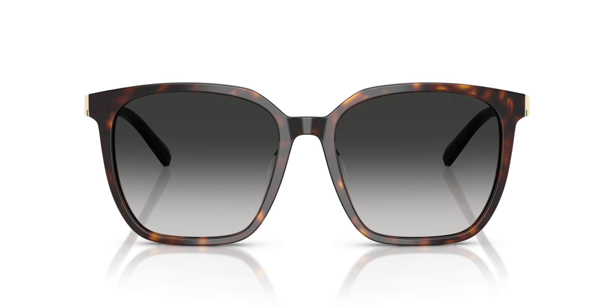TF4244D 80153C Occhiali da sole Tiffany 3