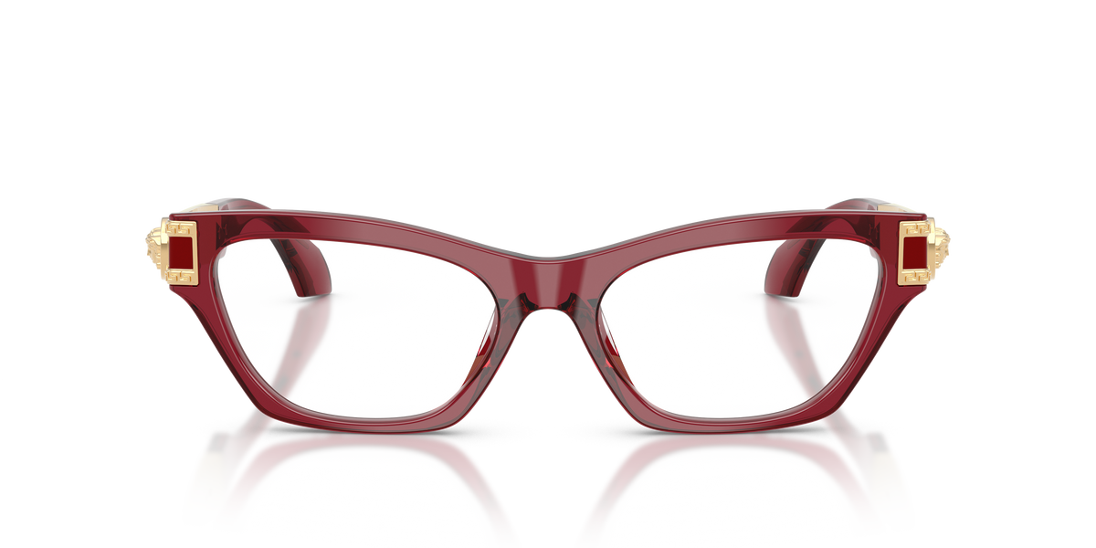 Versace VE3396U 388