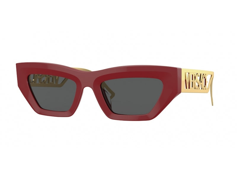 VE4432U 538887 Occhiali da sole Versace 1