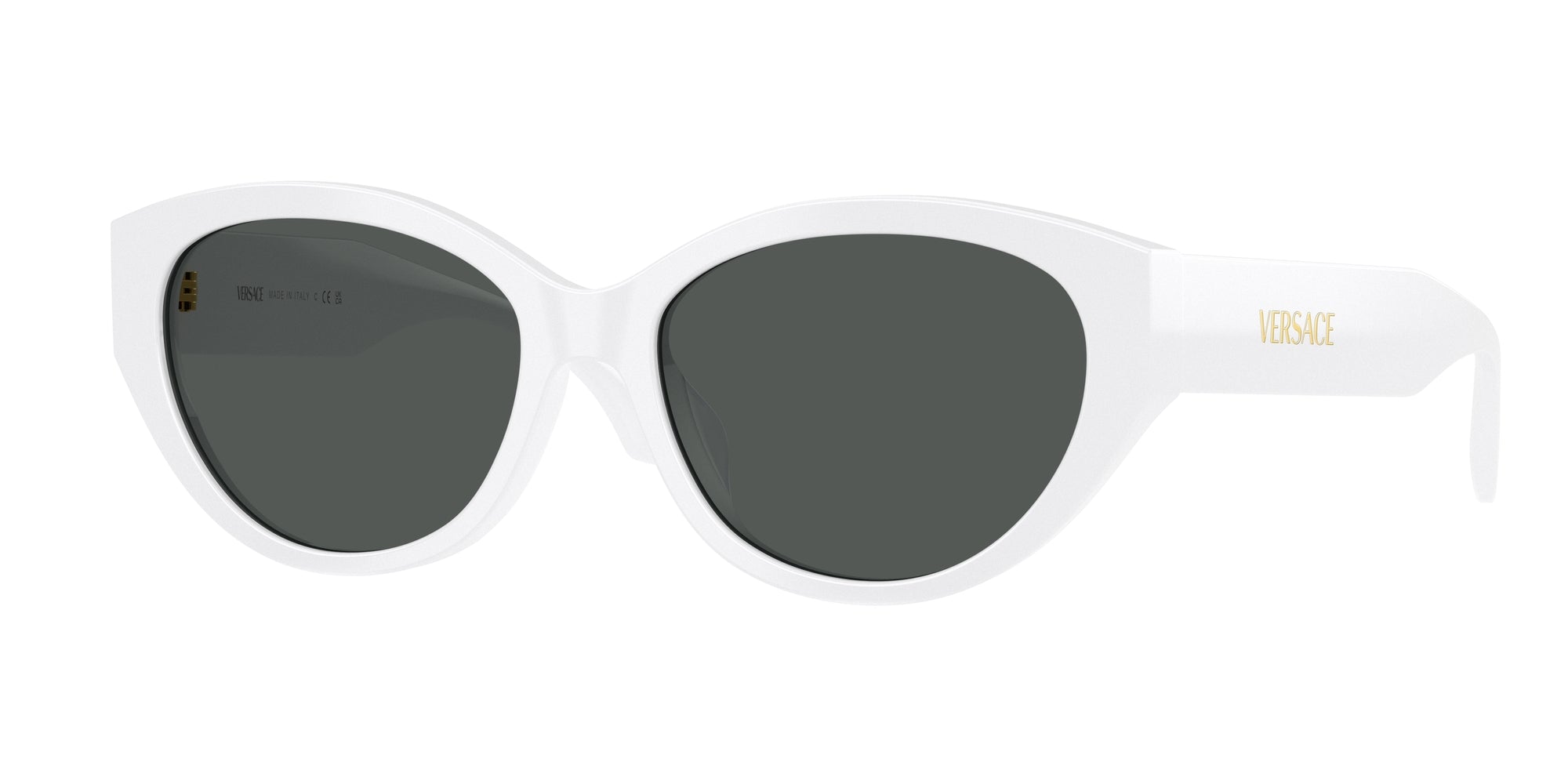 VE4495D 314/87 Occhiali da sole Versace 1
