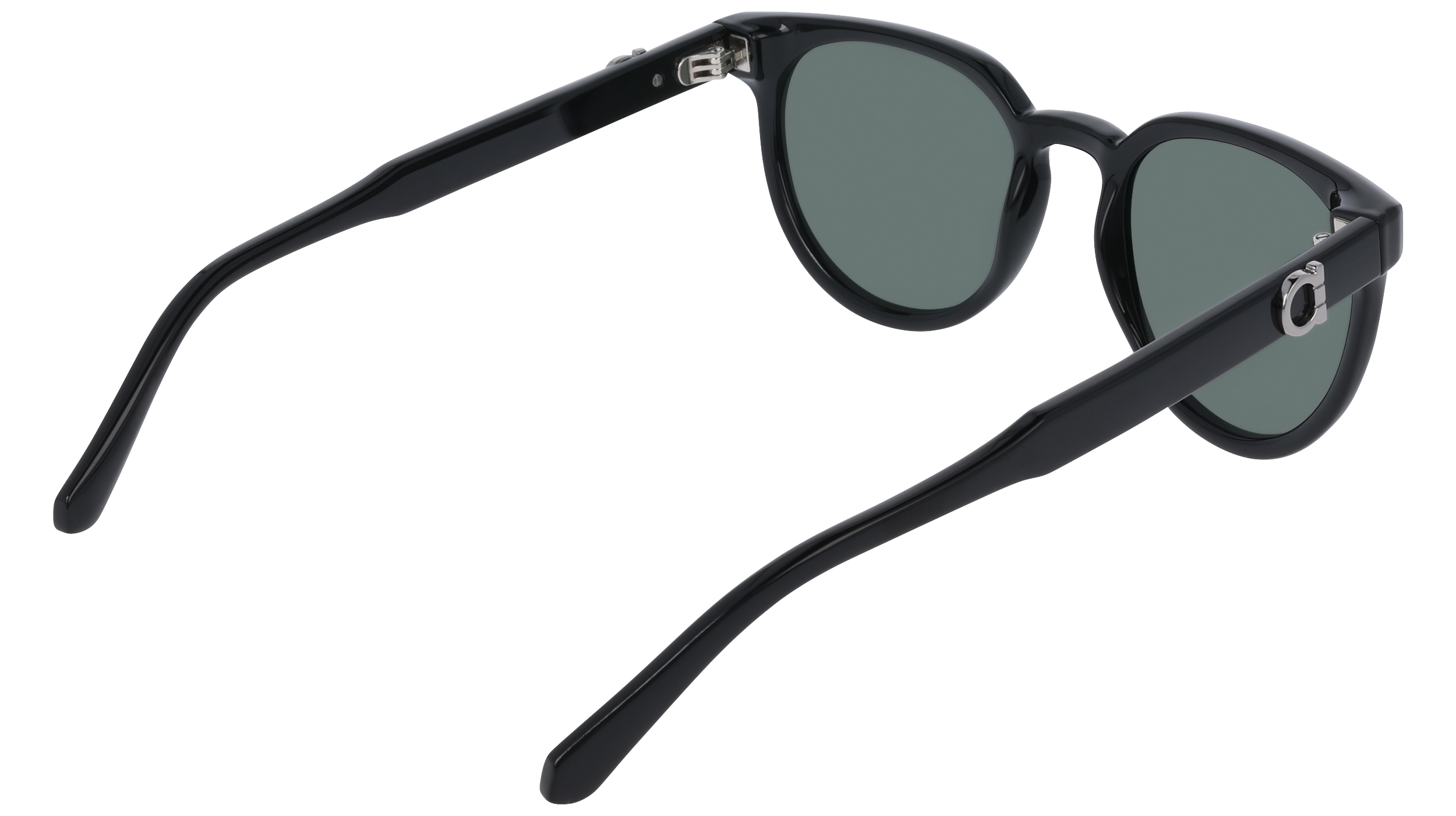SF2059SE 1 Occhiali da sole Ferragamo 6