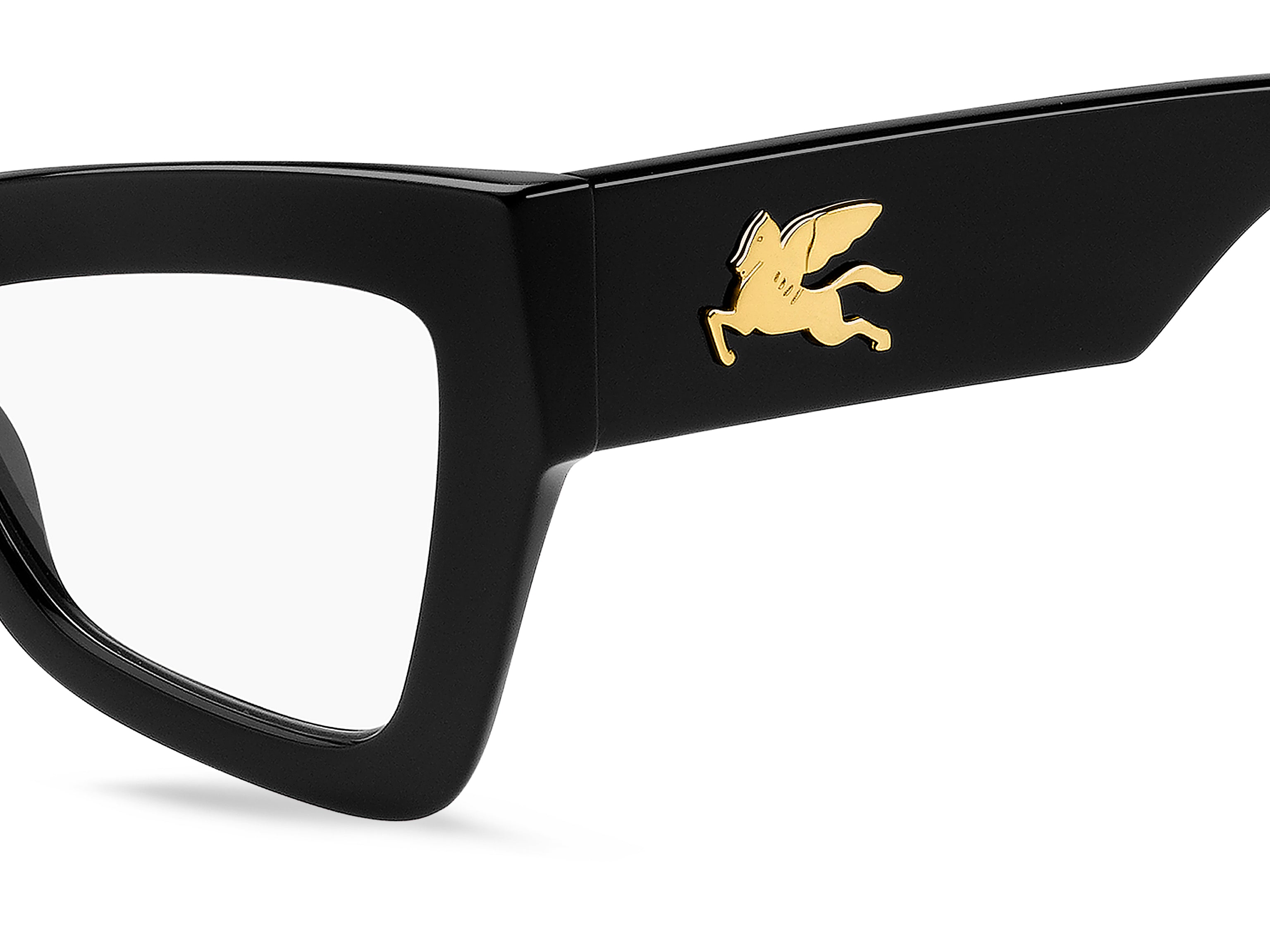 ETRO 0069 807 Montature da vista ETRO 3