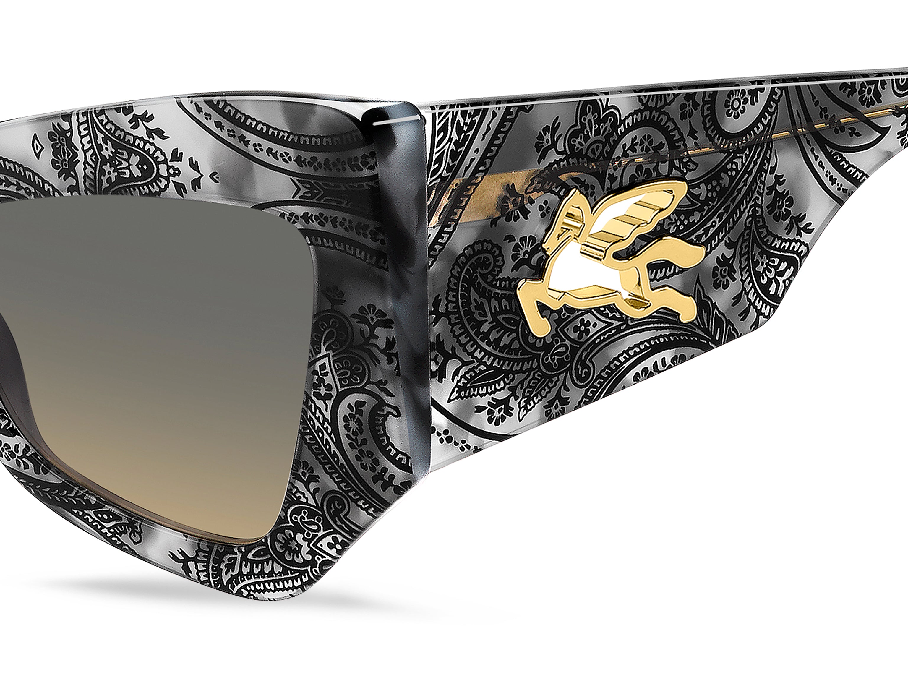 ETROMANIA AB8/GA Occhiali da sole ETRO 6