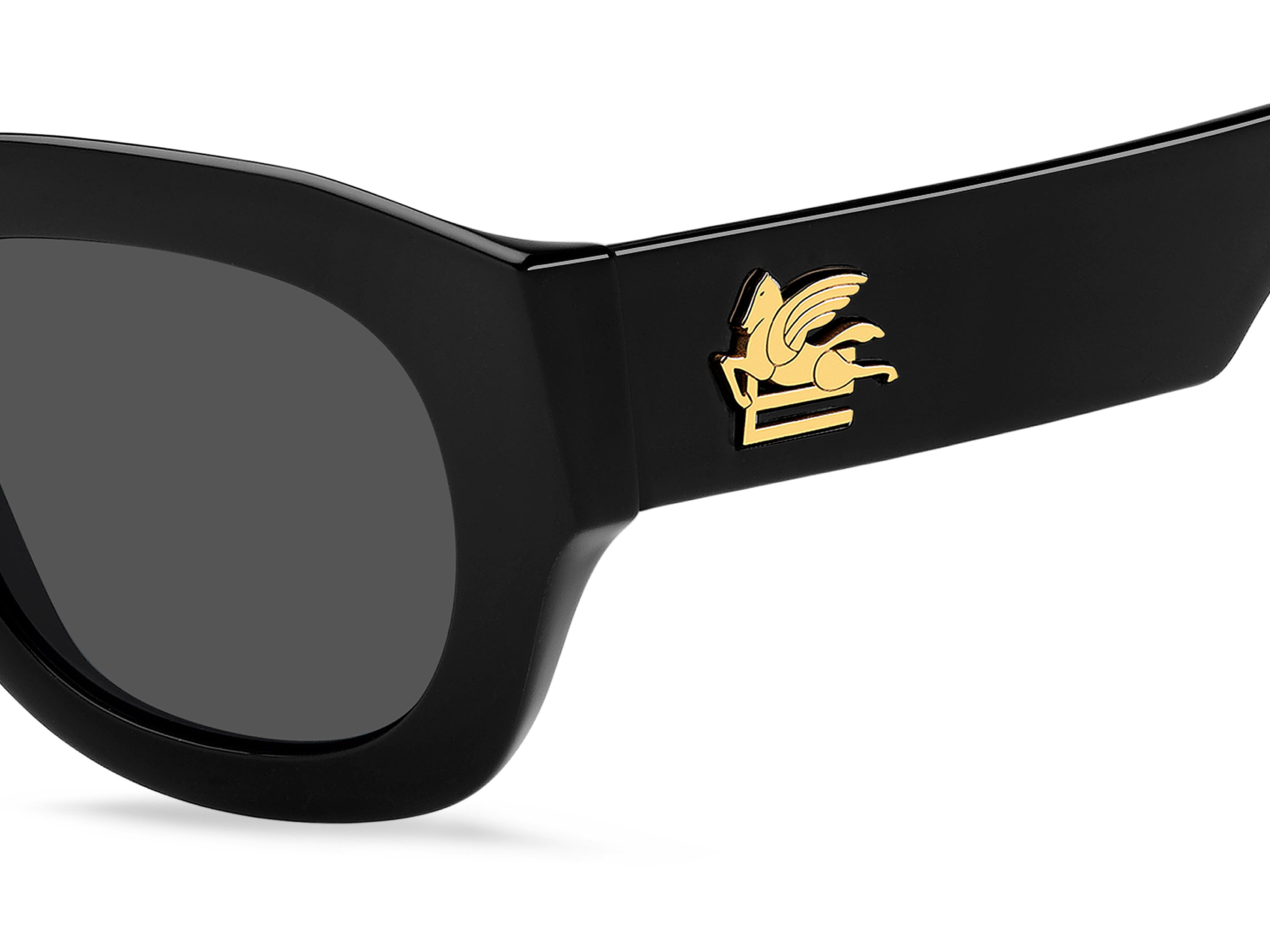 ETRO 0079/S 807/IR Occhiali da sole ETRO 3