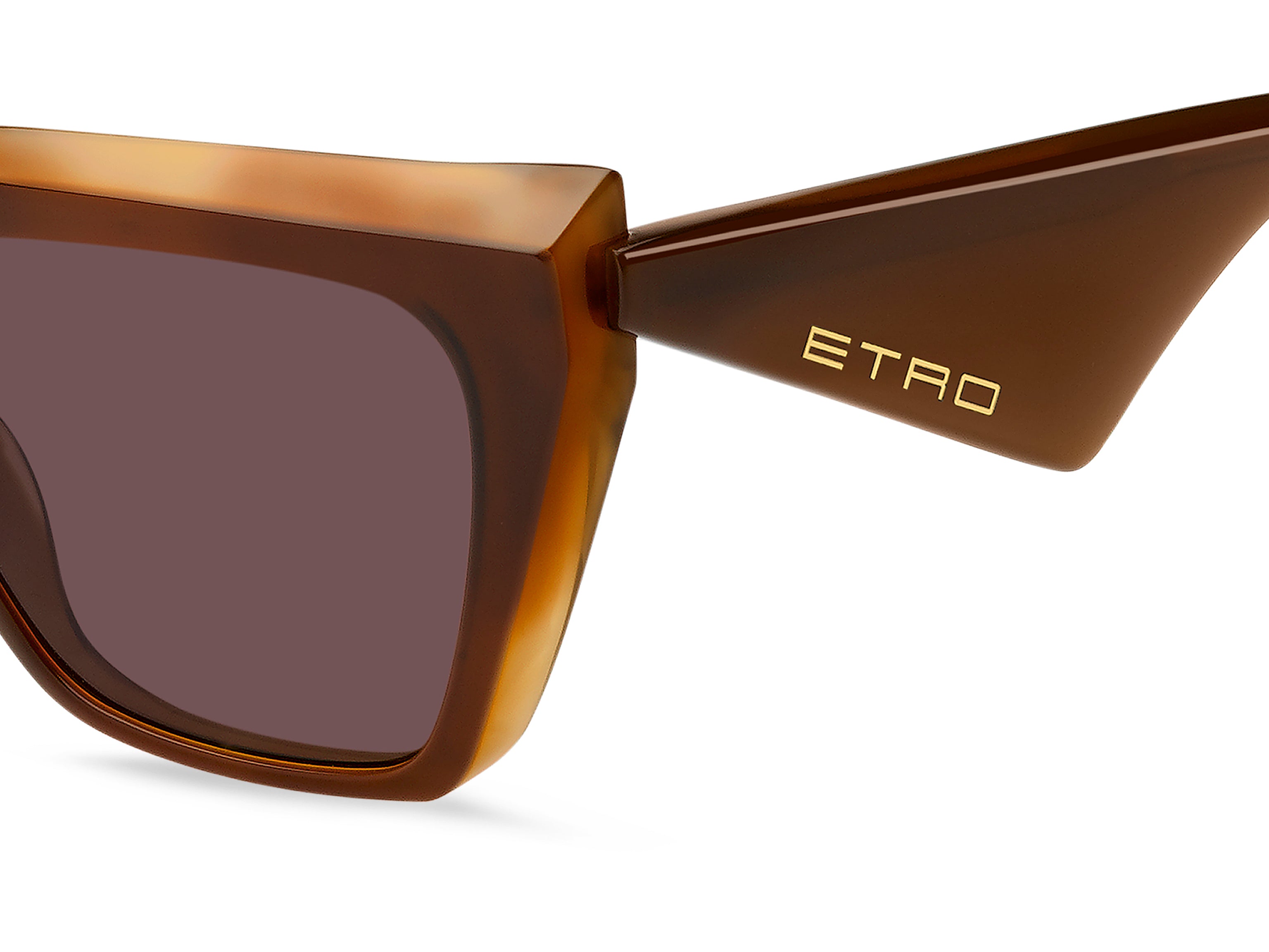 ETRO 0096/G/S WR9/U1 Occhiali da sole ETRO 3