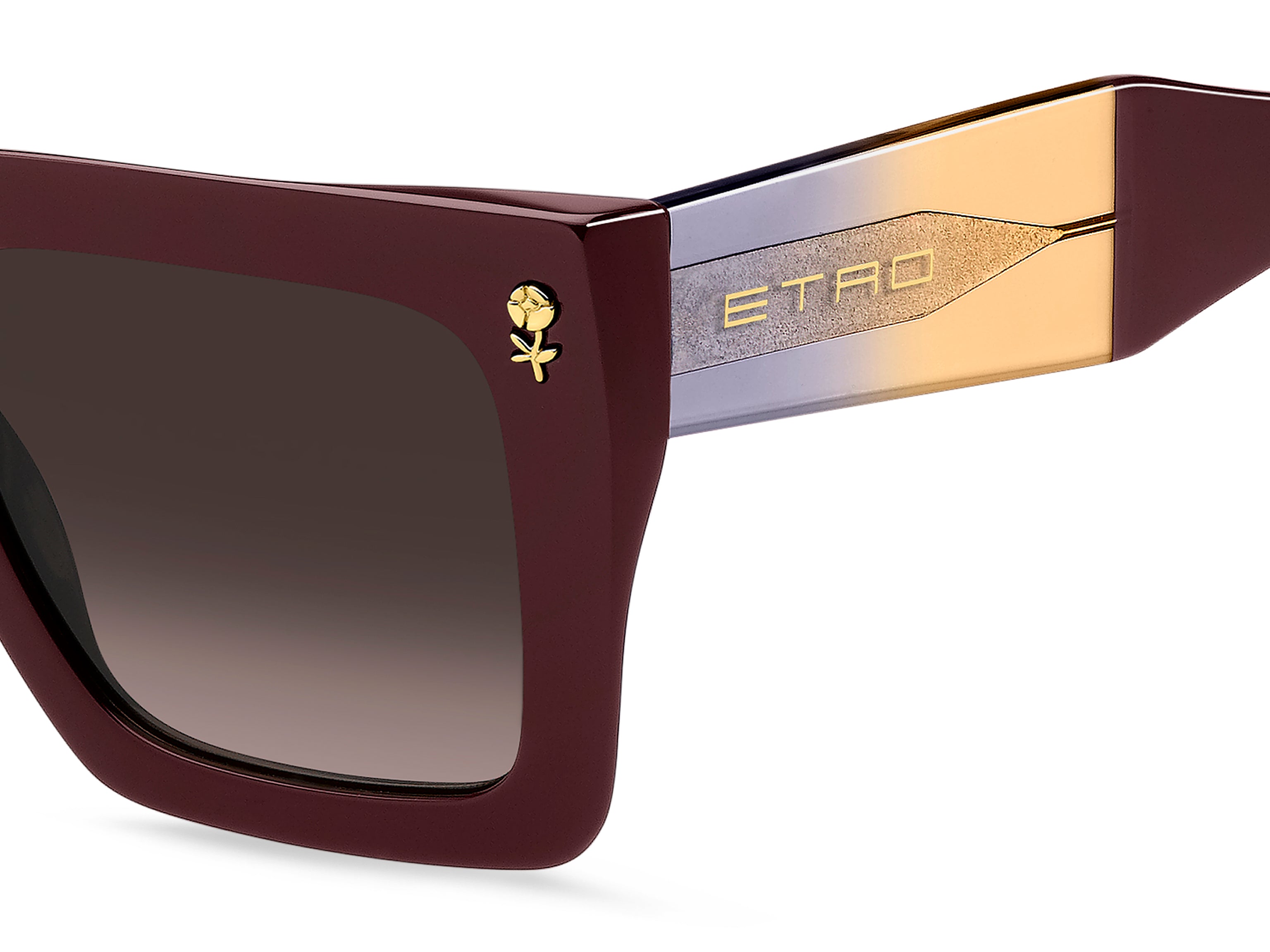 ETRO 0089/S LHF/HA