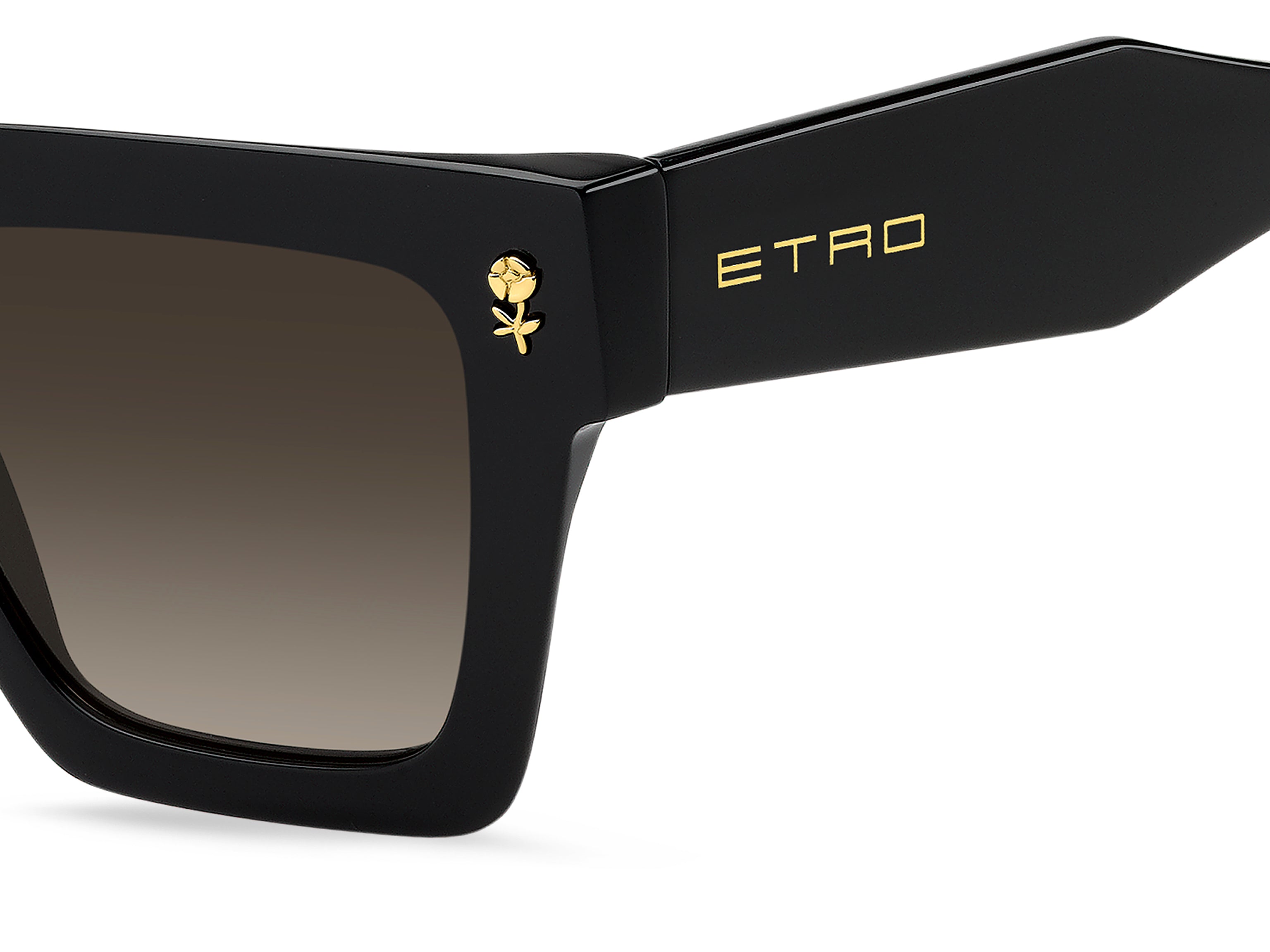 ETRO 0113/S 807/HA