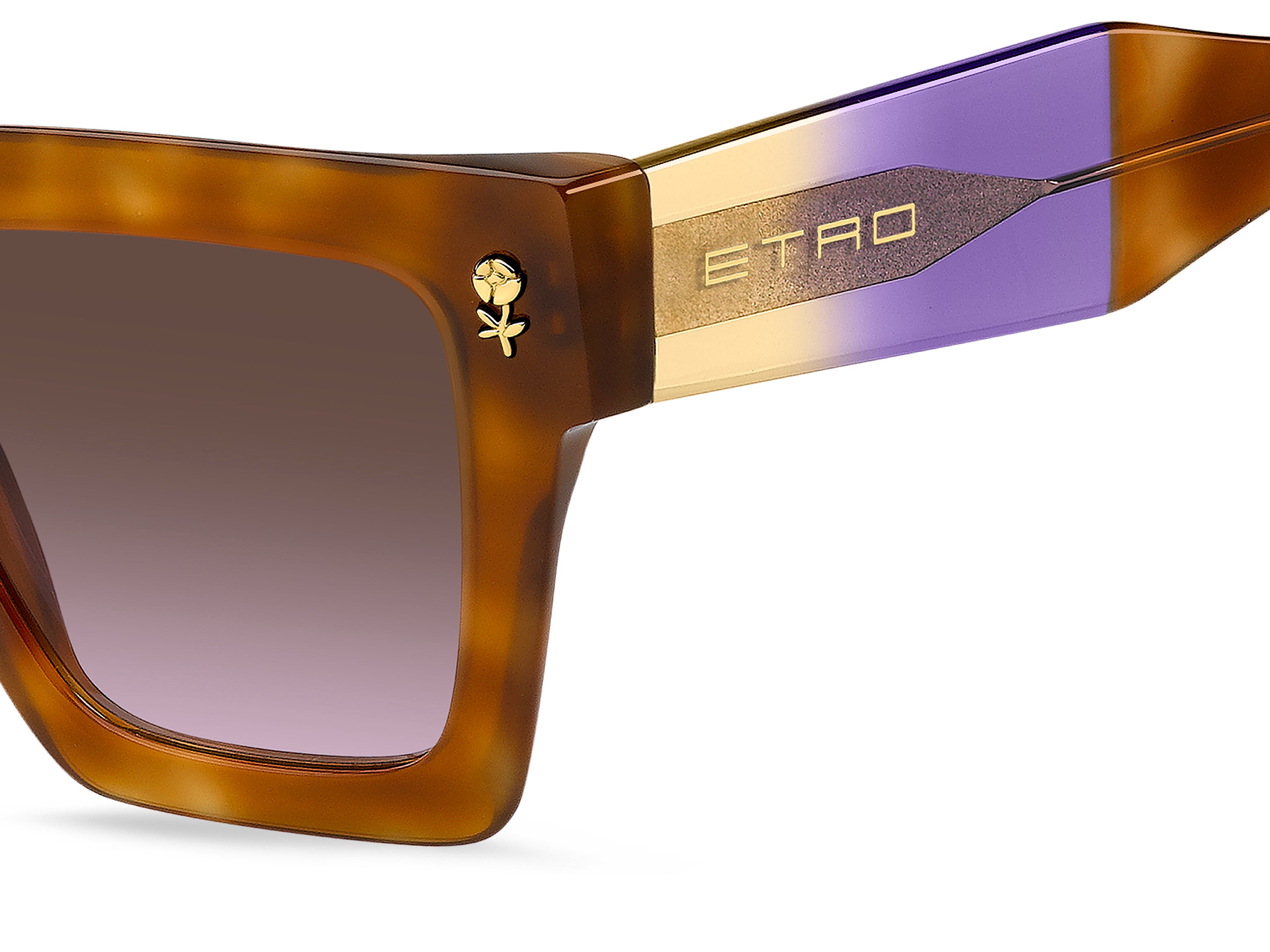 ETRO 0113/S AY0/QR