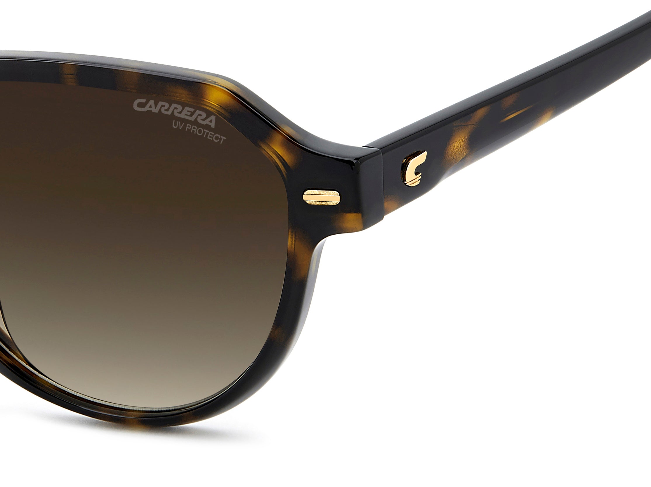 CARRERA 3068/S 086/HA Occhiali da sole Carrera 4