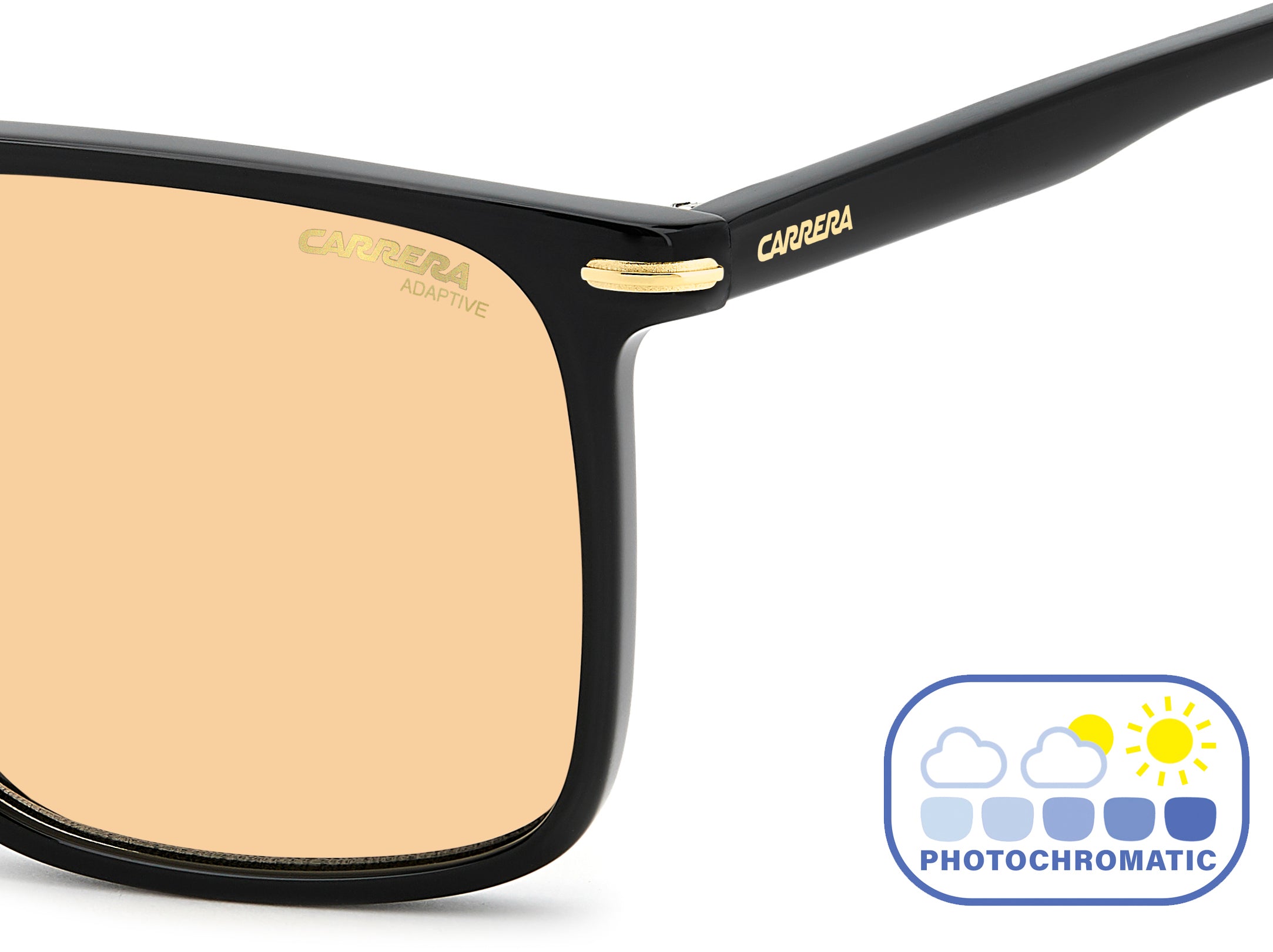 CARRERA 366/S 807/Q6 Occhiali da sole Carrera 4
