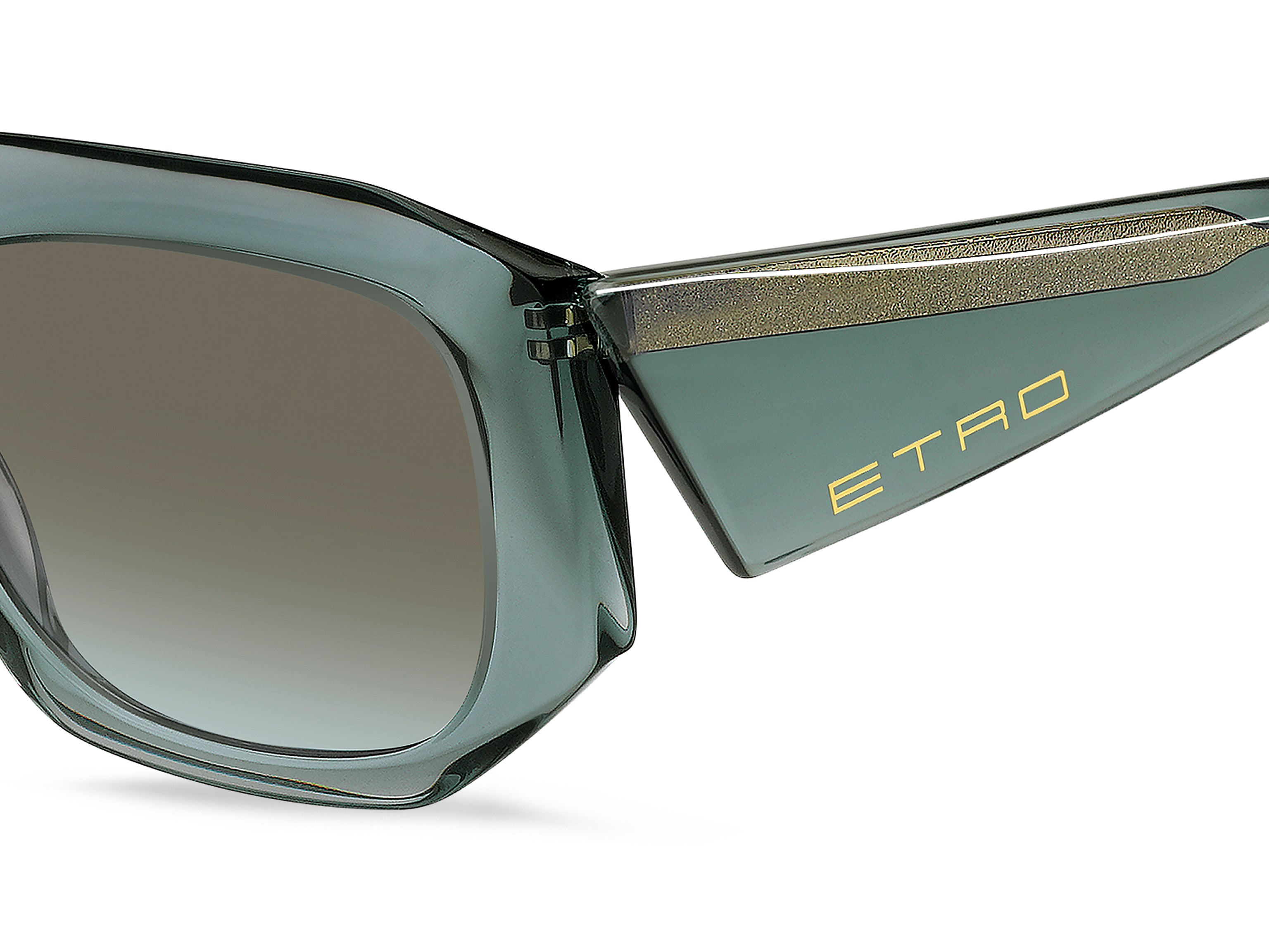 ETRO ETRO 0123/S ZI9/BC Occhiali da sole ETRO 3